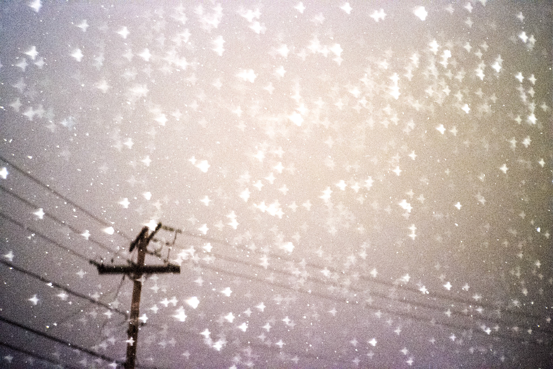 Autosave-File vom d-lab2/3 der AgfaPhoto GmbH