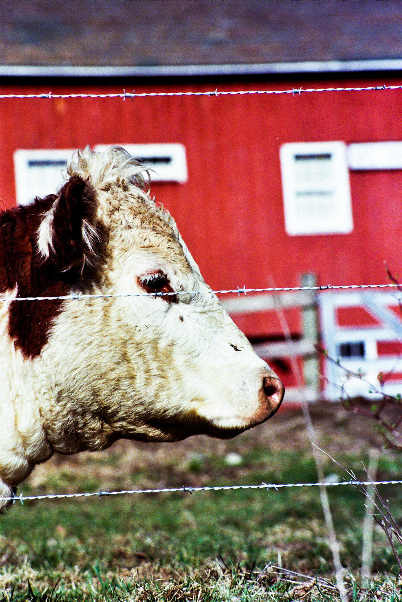 Autosave-File vom d-lab2/3 der AgfaPhoto GmbH