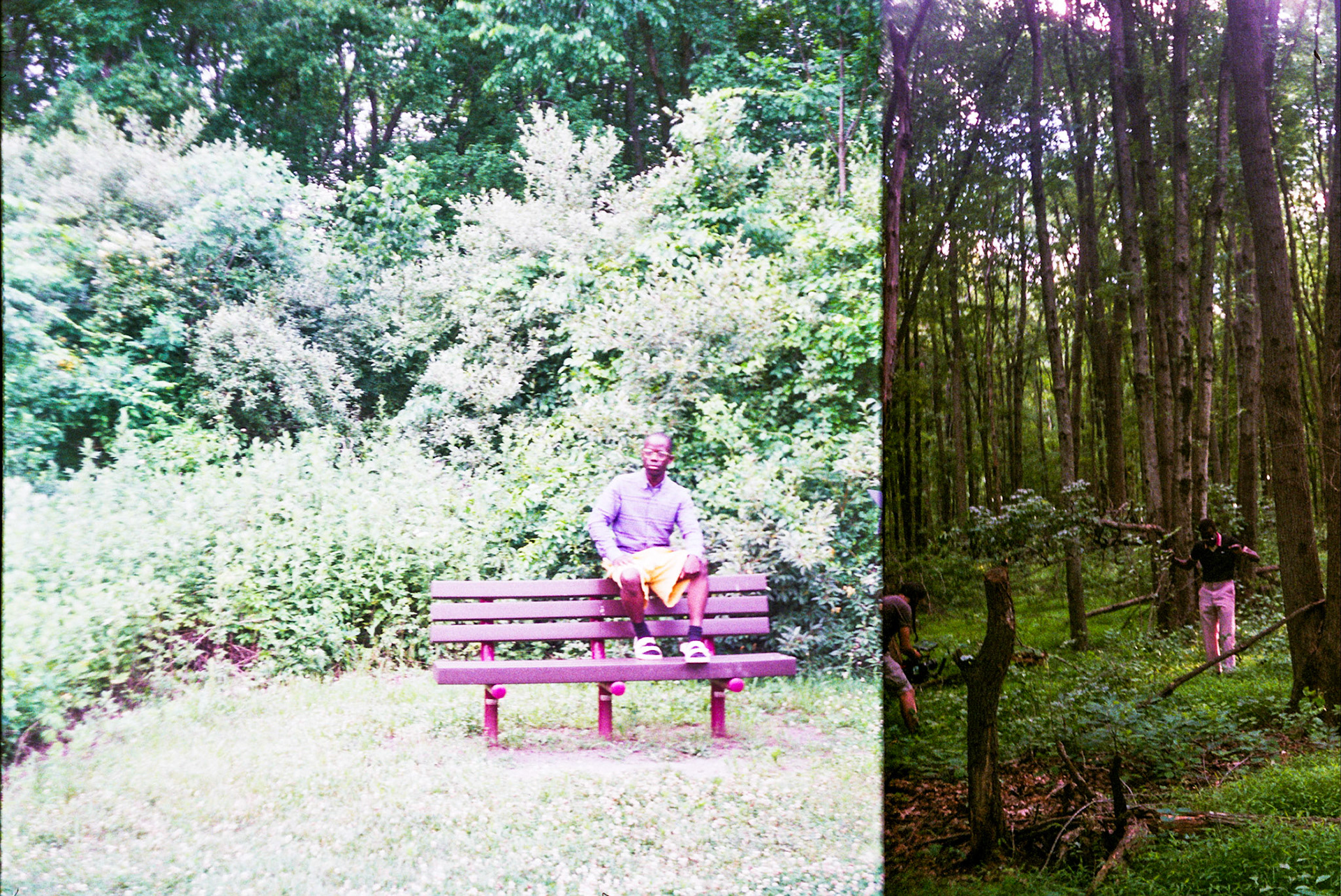 Autosave-File vom d-lab2/3 der AgfaPhoto GmbH