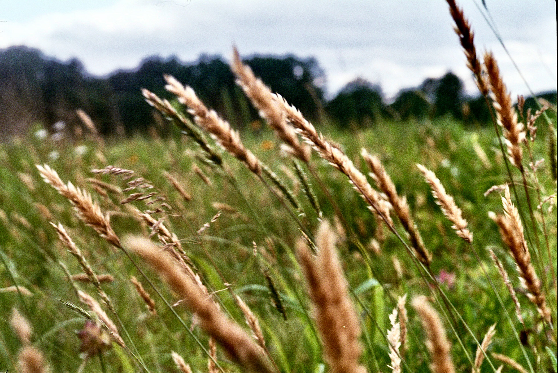 Autosave-File vom d-lab2/3 der AgfaPhoto GmbH