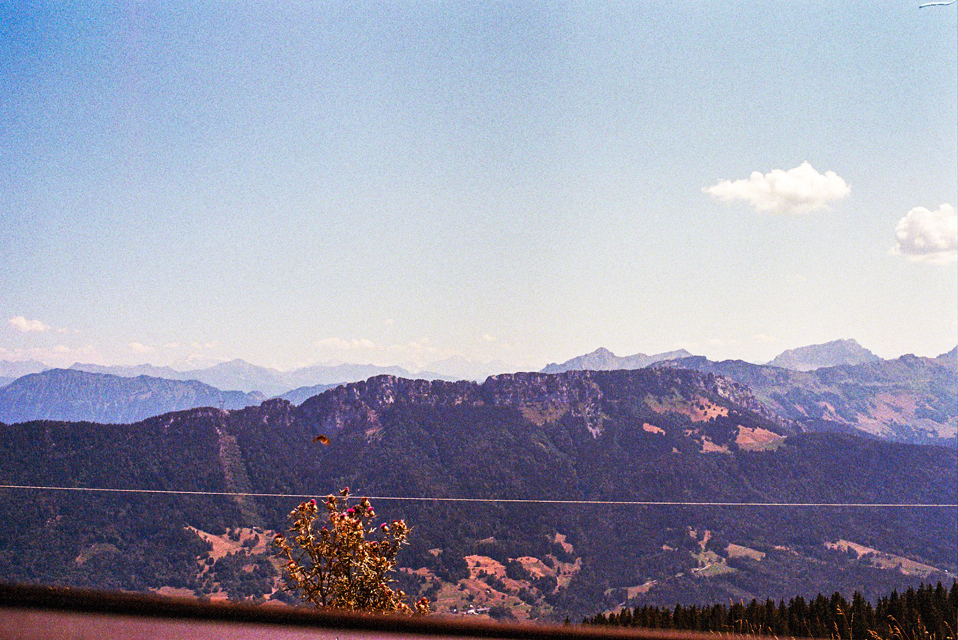 Autosave-File vom d-lab2/3 der AgfaPhoto GmbH