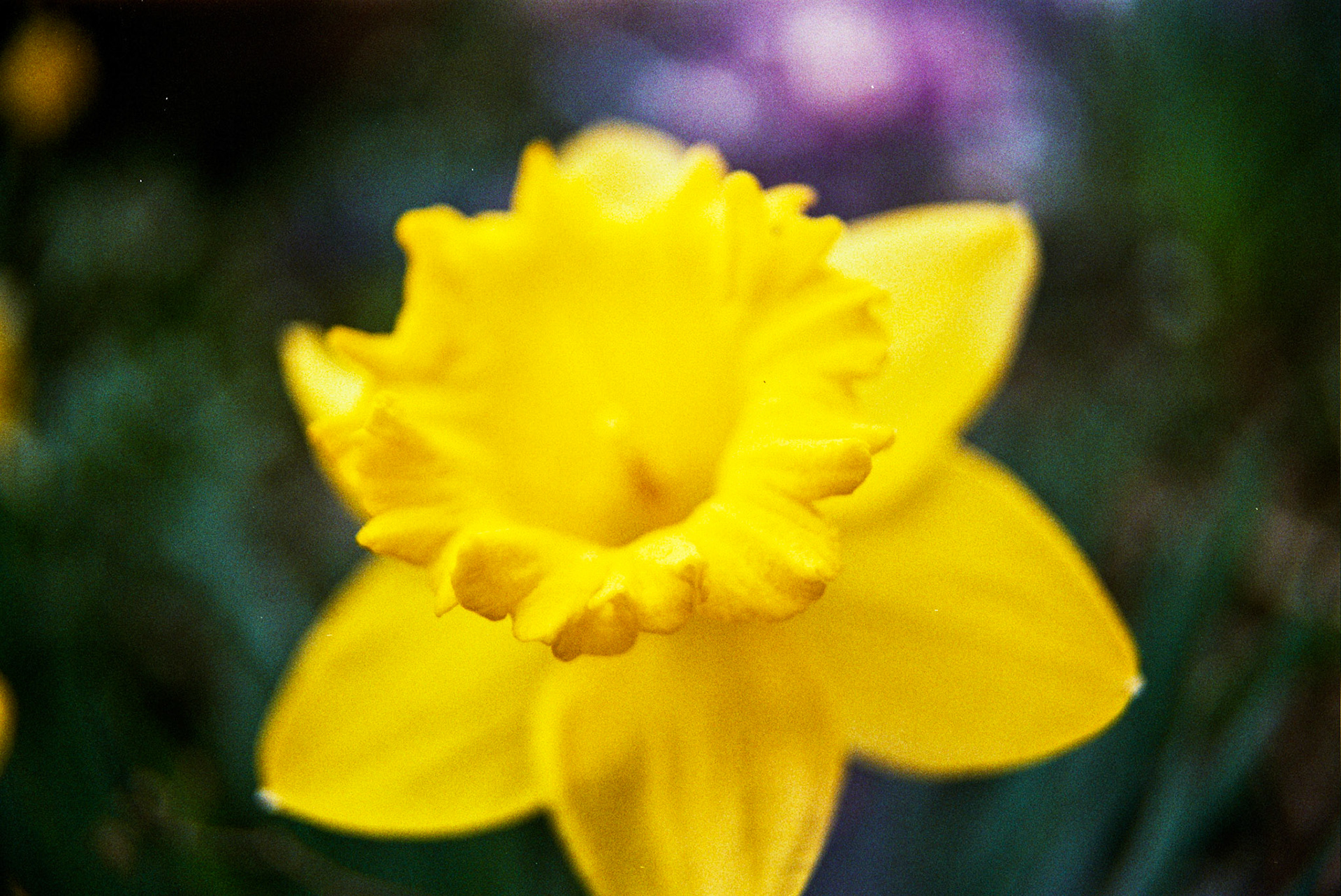 Autosave-File vom d-lab2/3 der AgfaPhoto GmbH