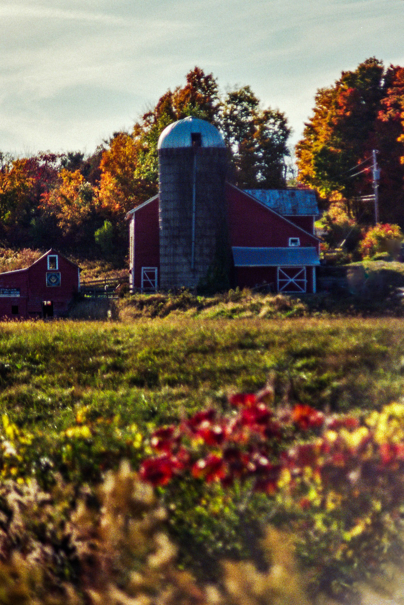 Autosave-File vom d-lab2/3 der AgfaPhoto GmbH