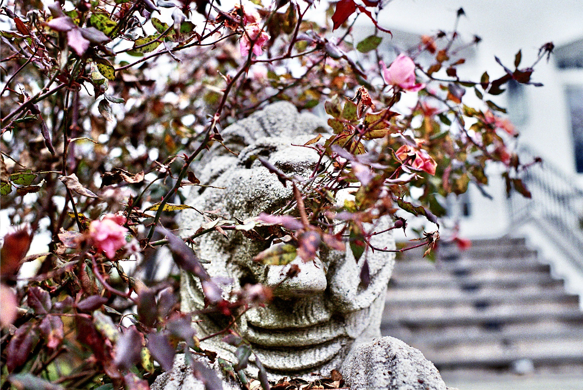 Autosave-File vom d-lab2/3 der AgfaPhoto GmbH