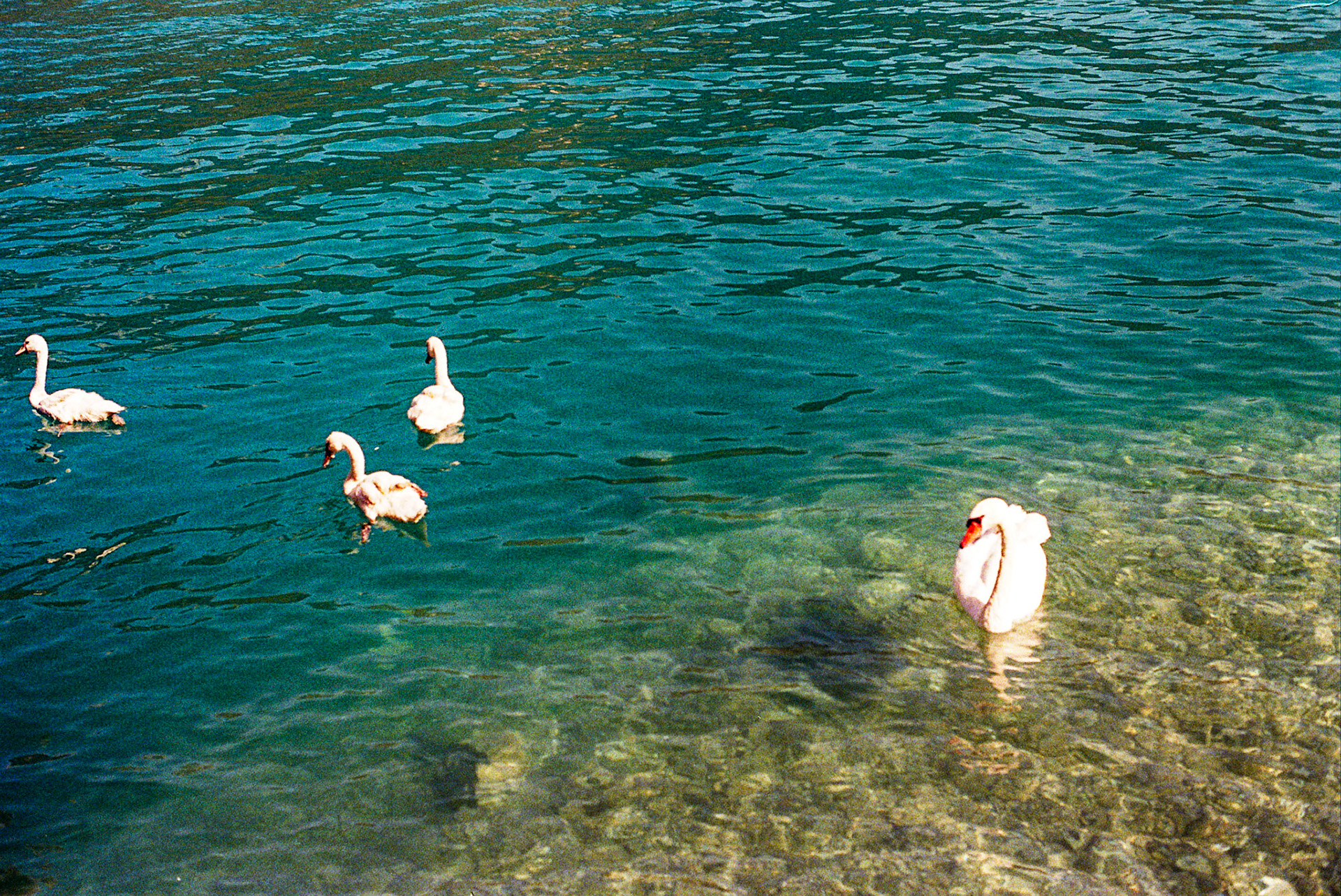 Autosave-File vom d-lab2/3 der AgfaPhoto GmbH