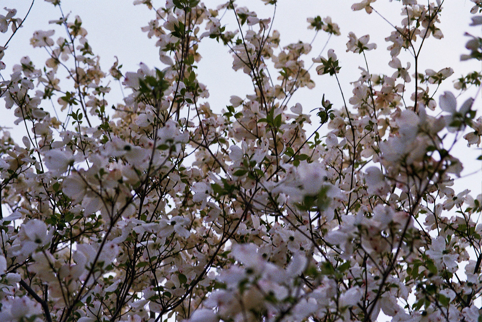 Autosave-File vom d-lab2/3 der AgfaPhoto GmbH