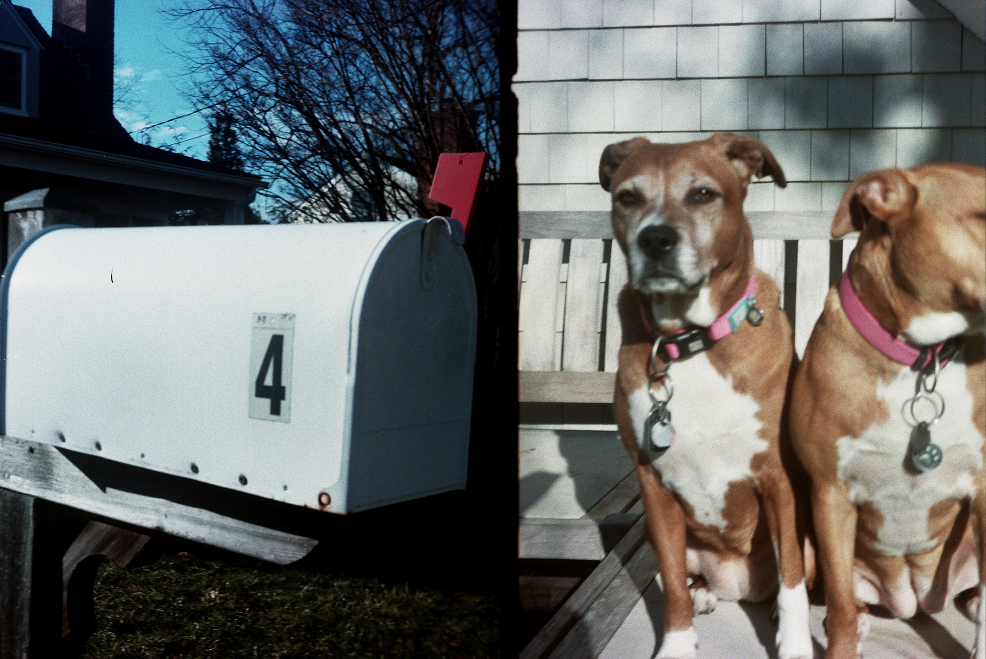 Autosave-File vom d-lab2/3 der AgfaPhoto GmbH