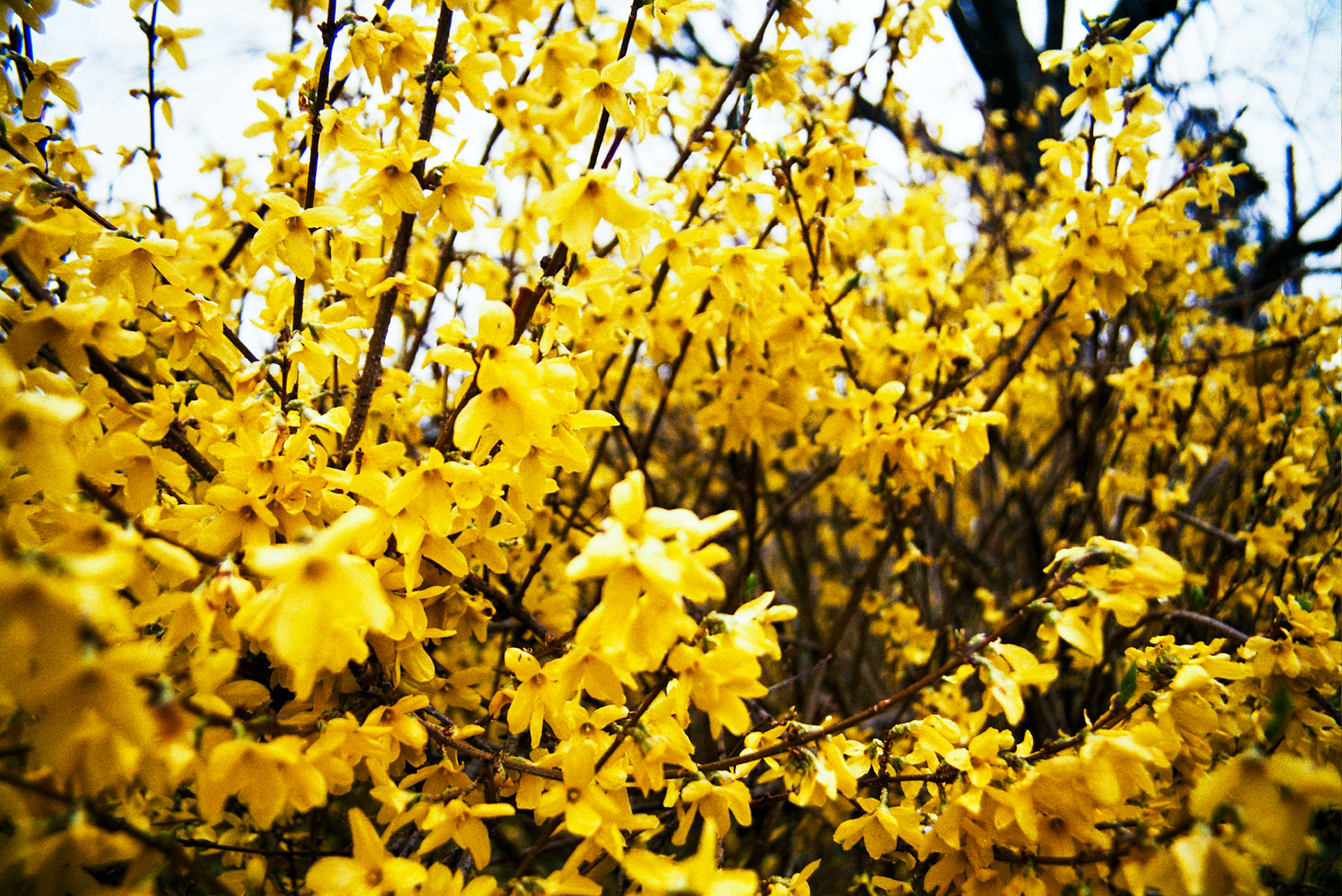 Autosave-File vom d-lab2/3 der AgfaPhoto GmbH