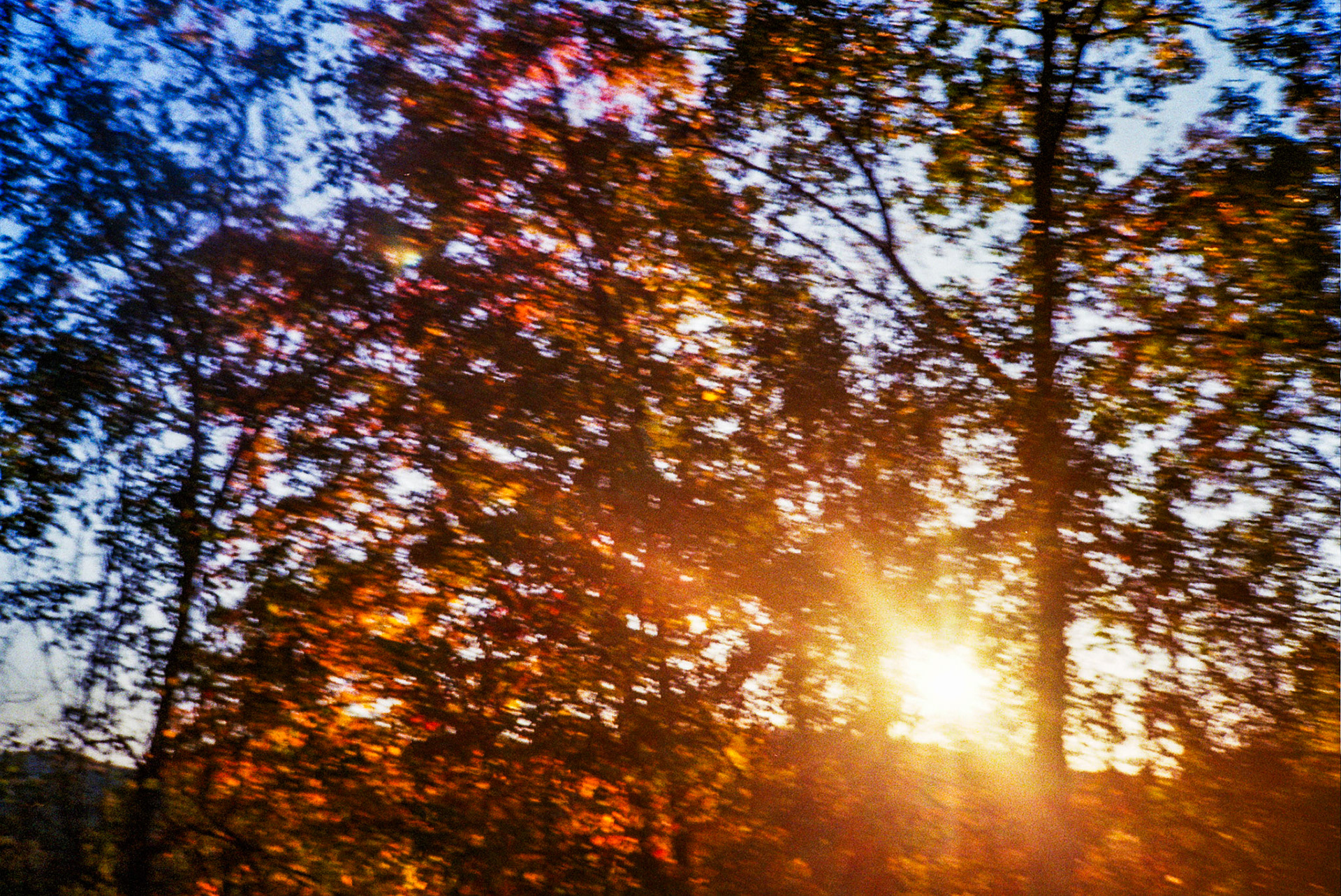 Autosave-File vom d-lab2/3 der AgfaPhoto GmbH