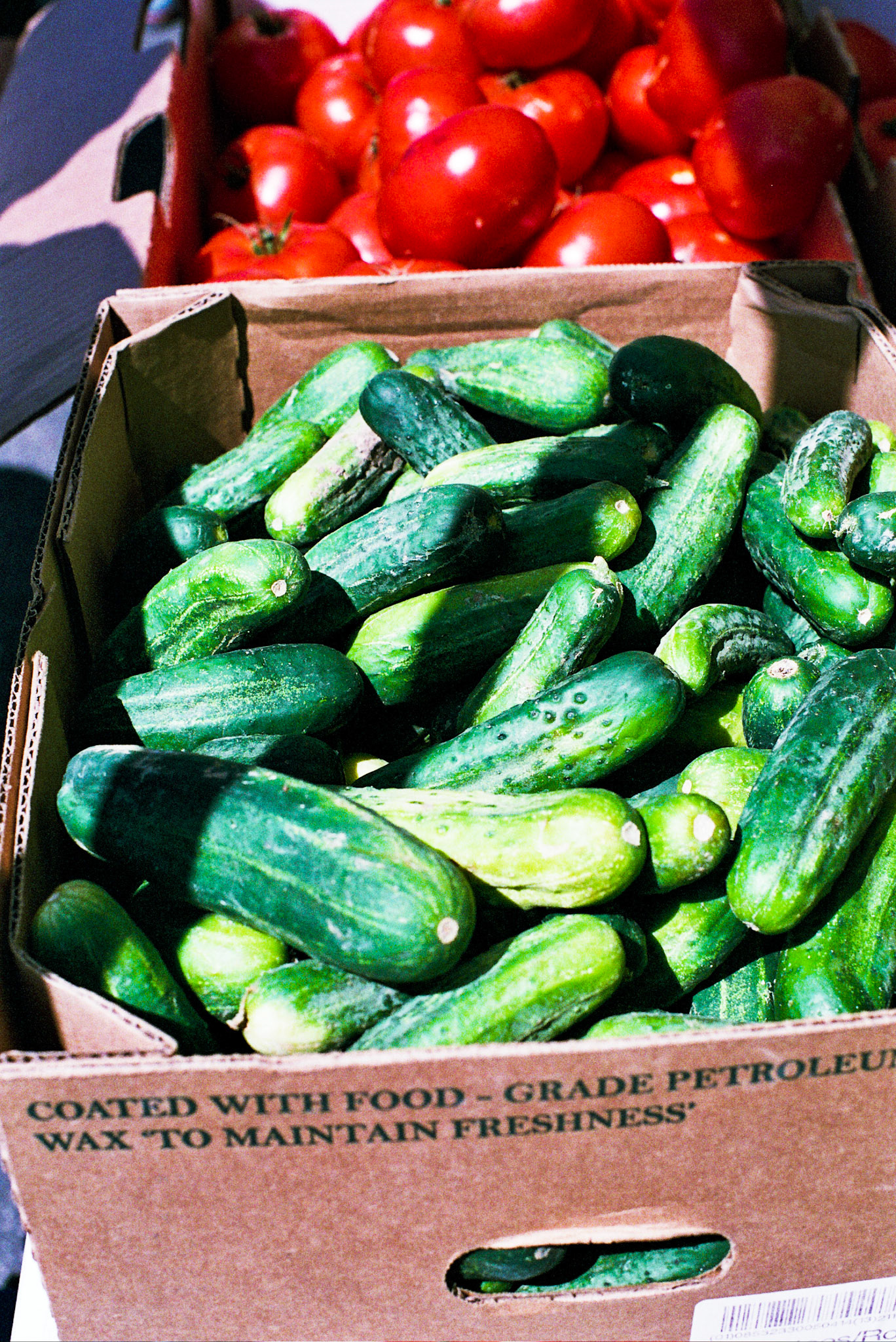 Autosave-File vom d-lab2/3 der AgfaPhoto GmbH