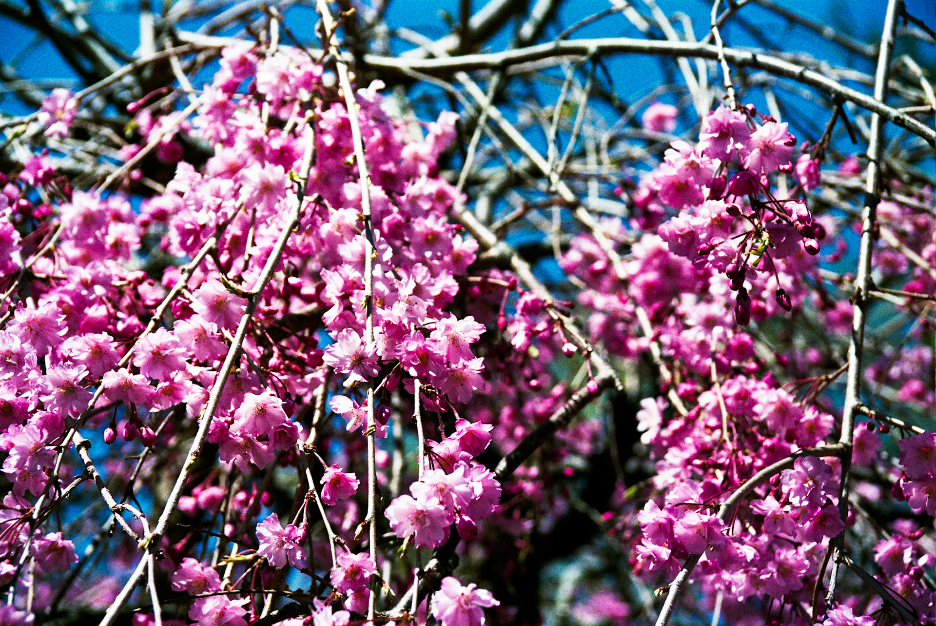 Autosave-File vom d-lab2/3 der AgfaPhoto GmbH