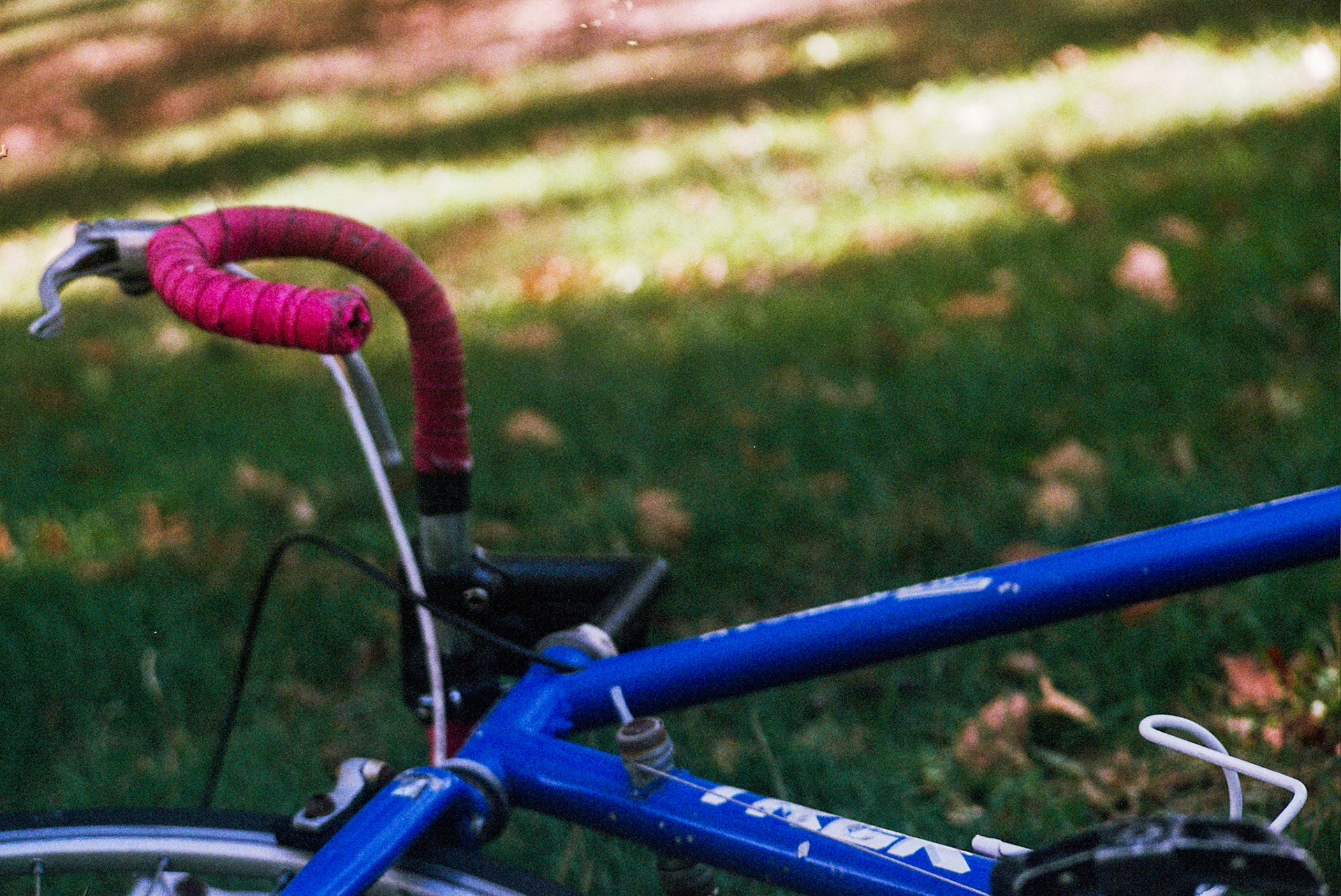 Autosave-File vom d-lab2/3 der AgfaPhoto GmbH