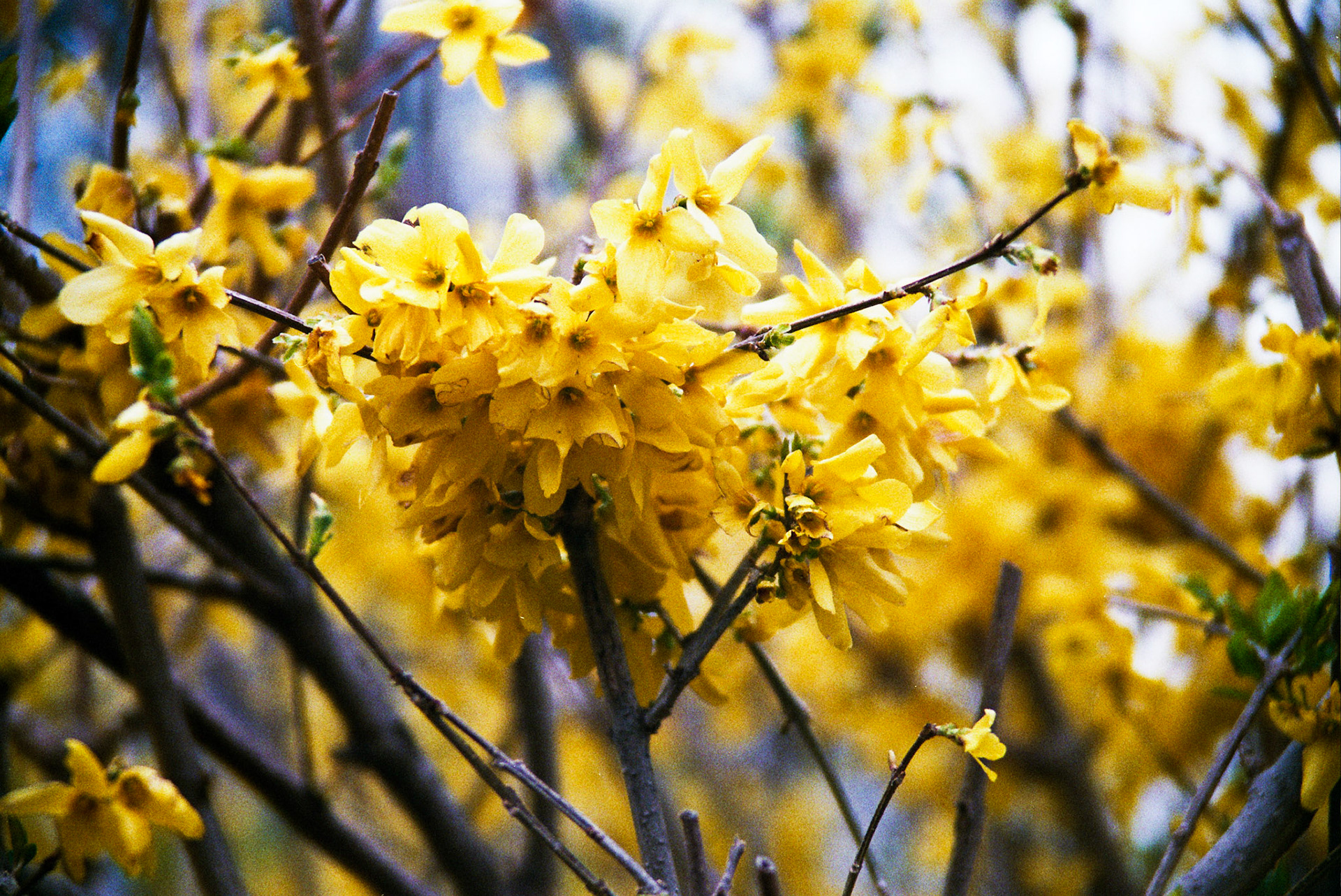 Autosave-File vom d-lab2/3 der AgfaPhoto GmbH