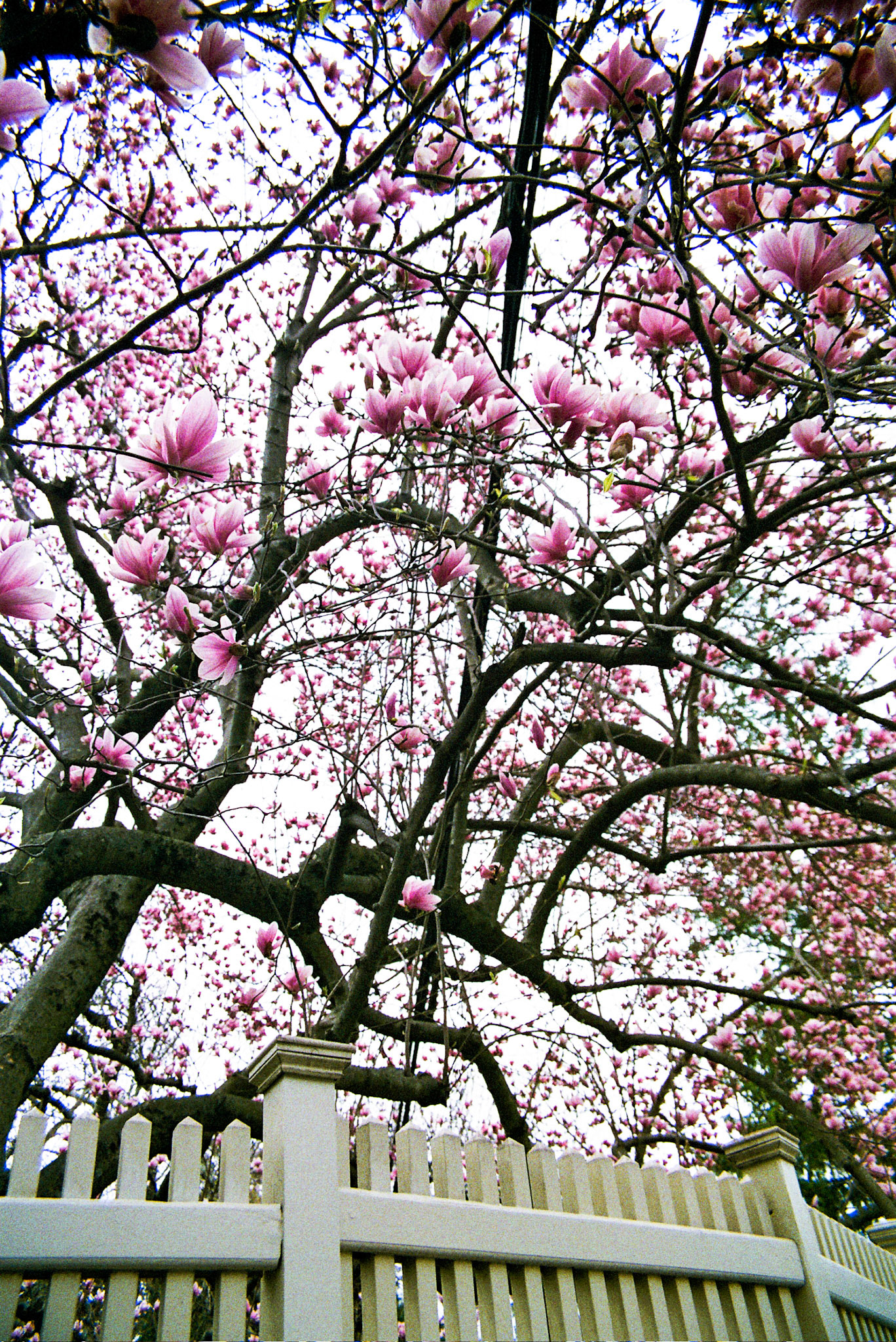 Autosave-File vom d-lab2/3 der AgfaPhoto GmbH