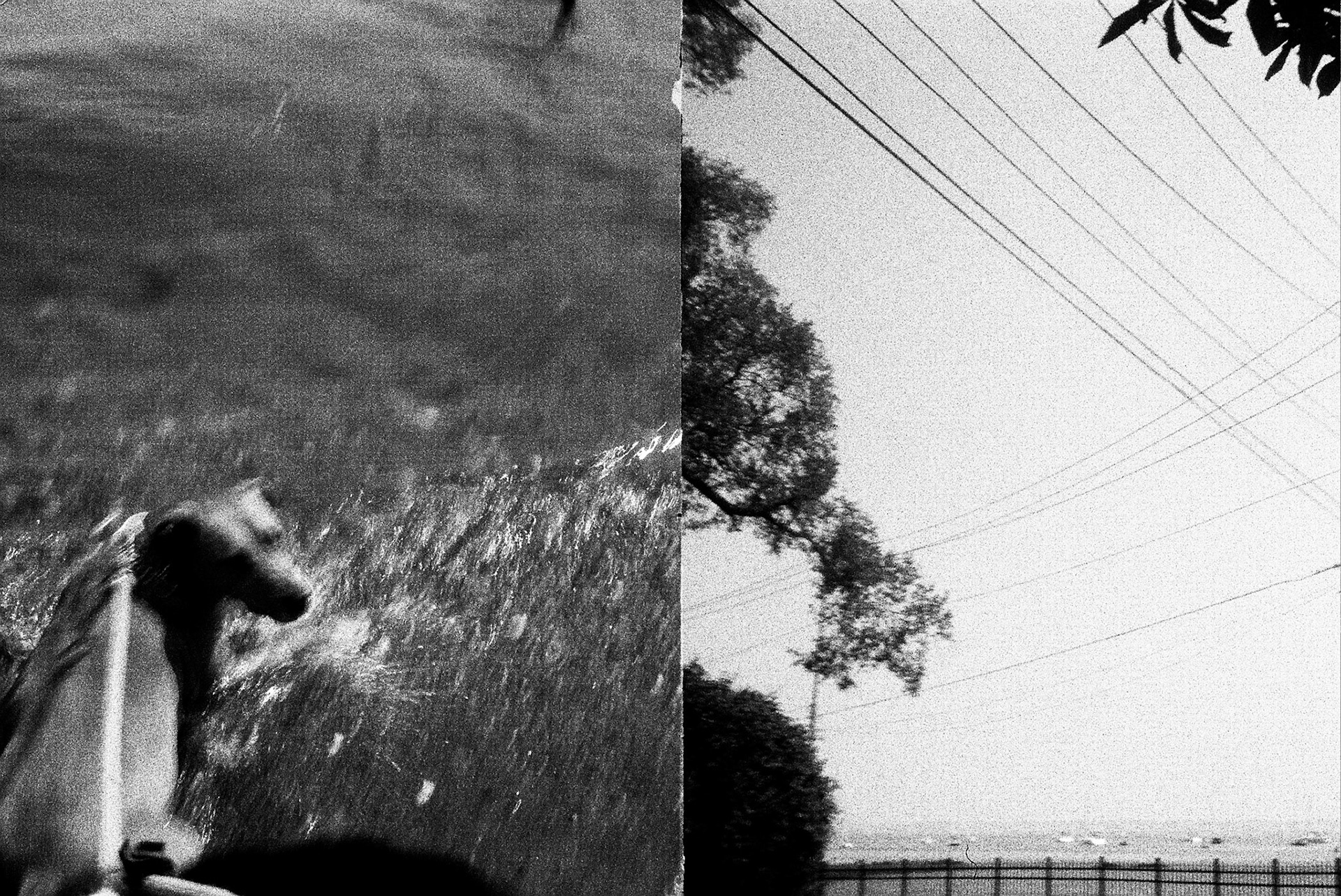 Autosave-File vom d-lab2/3 der AgfaPhoto GmbH