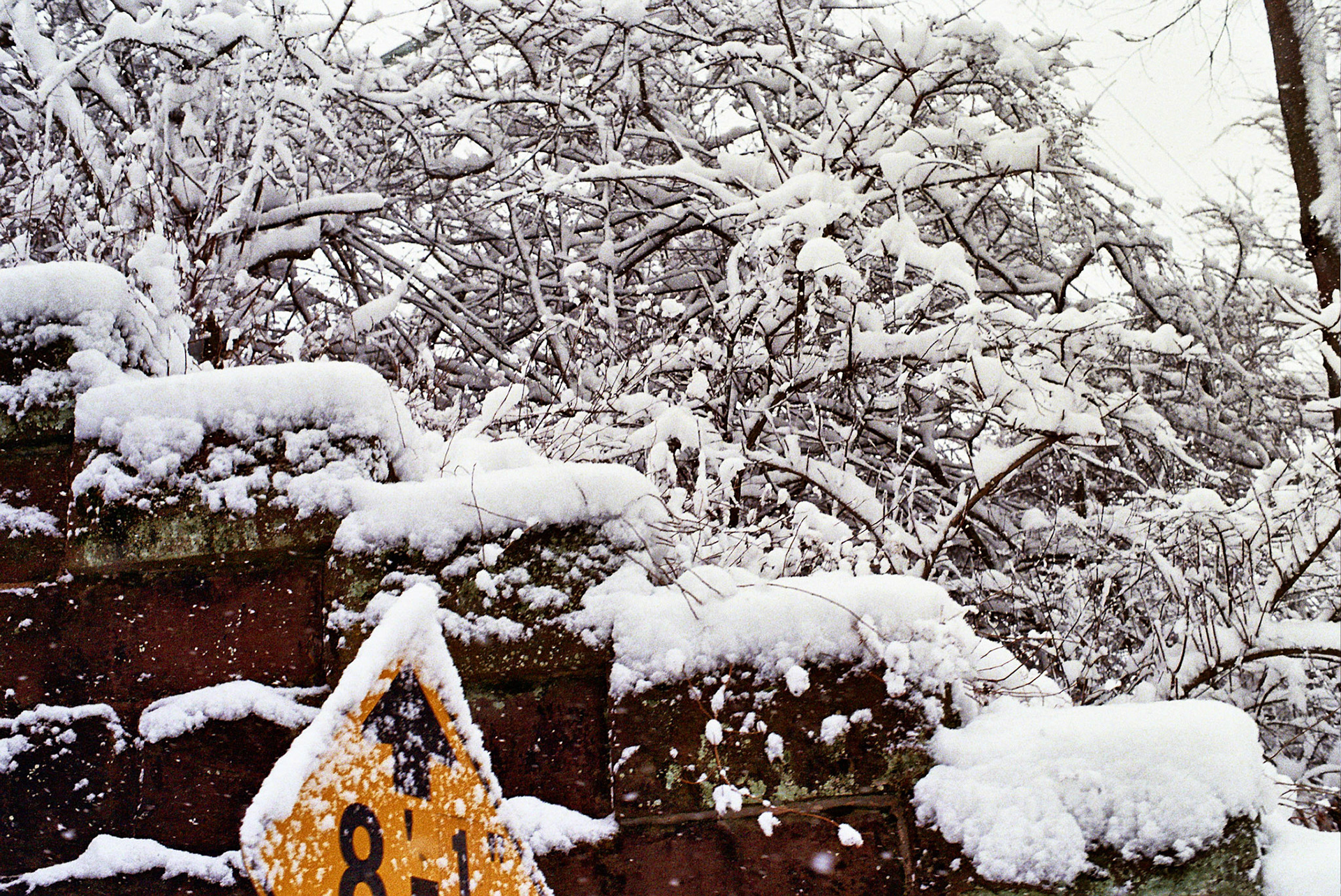 Autosave-File vom d-lab2/3 der AgfaPhoto GmbH