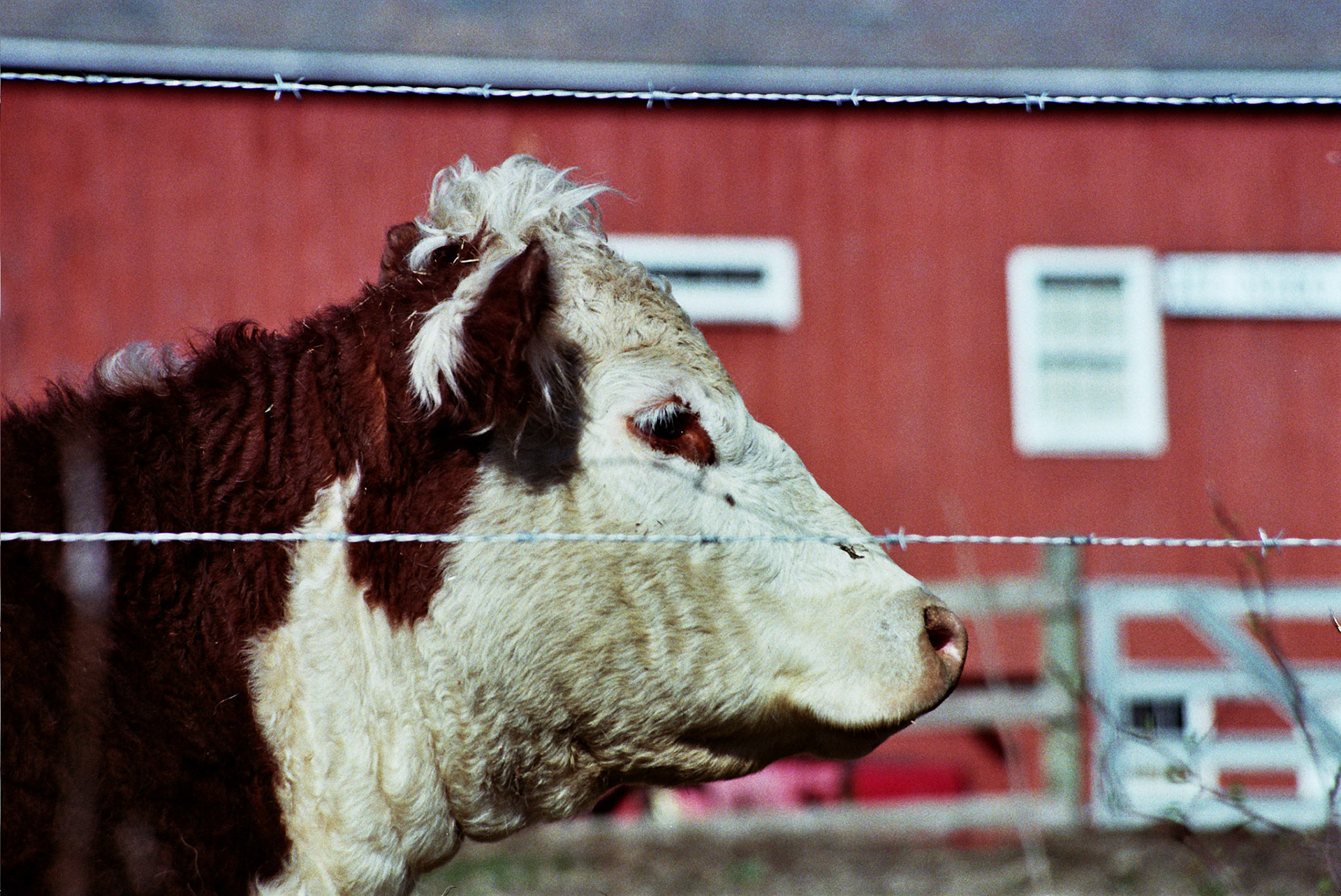 Autosave-File vom d-lab2/3 der AgfaPhoto GmbH