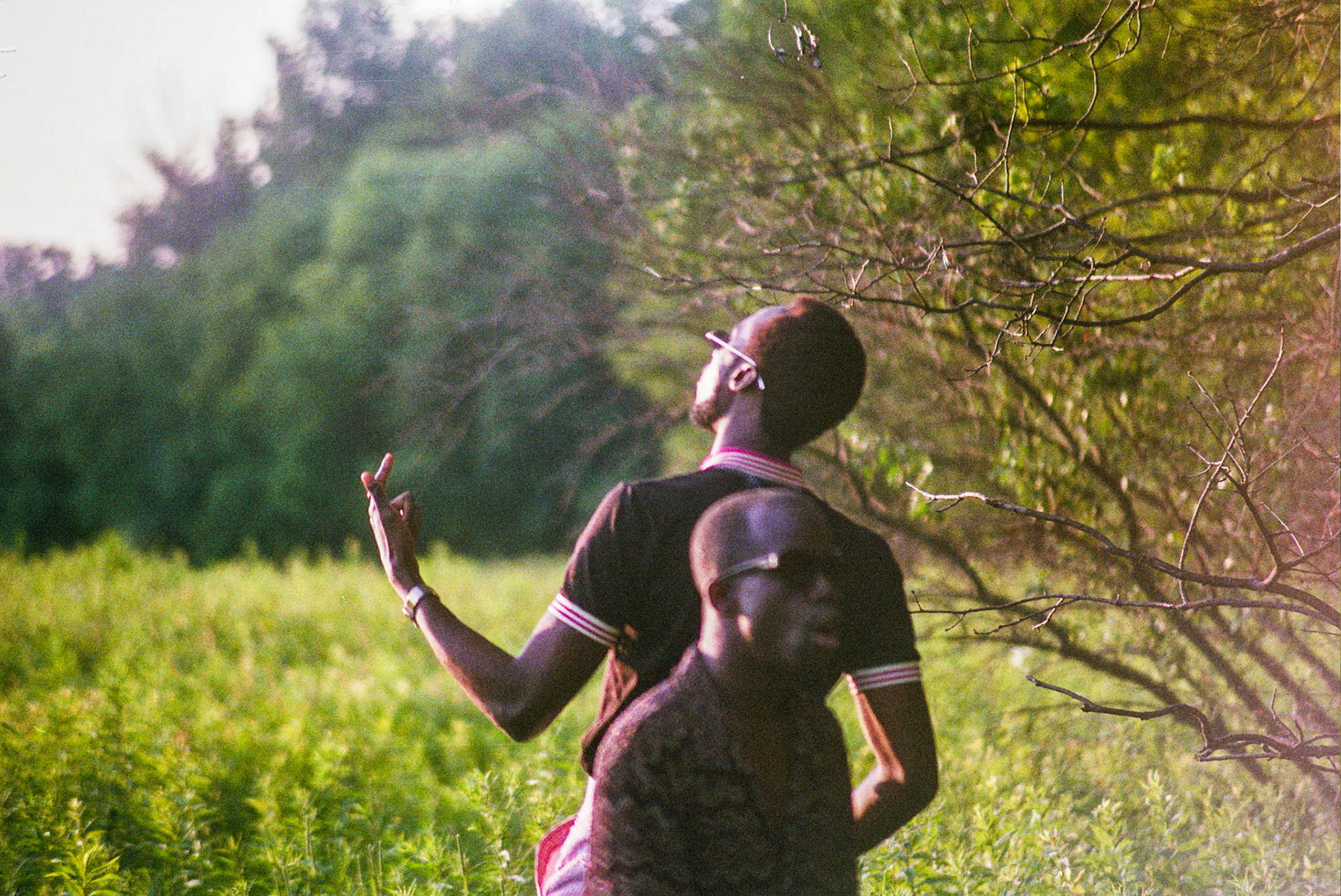 Autosave-File vom d-lab2/3 der AgfaPhoto GmbH