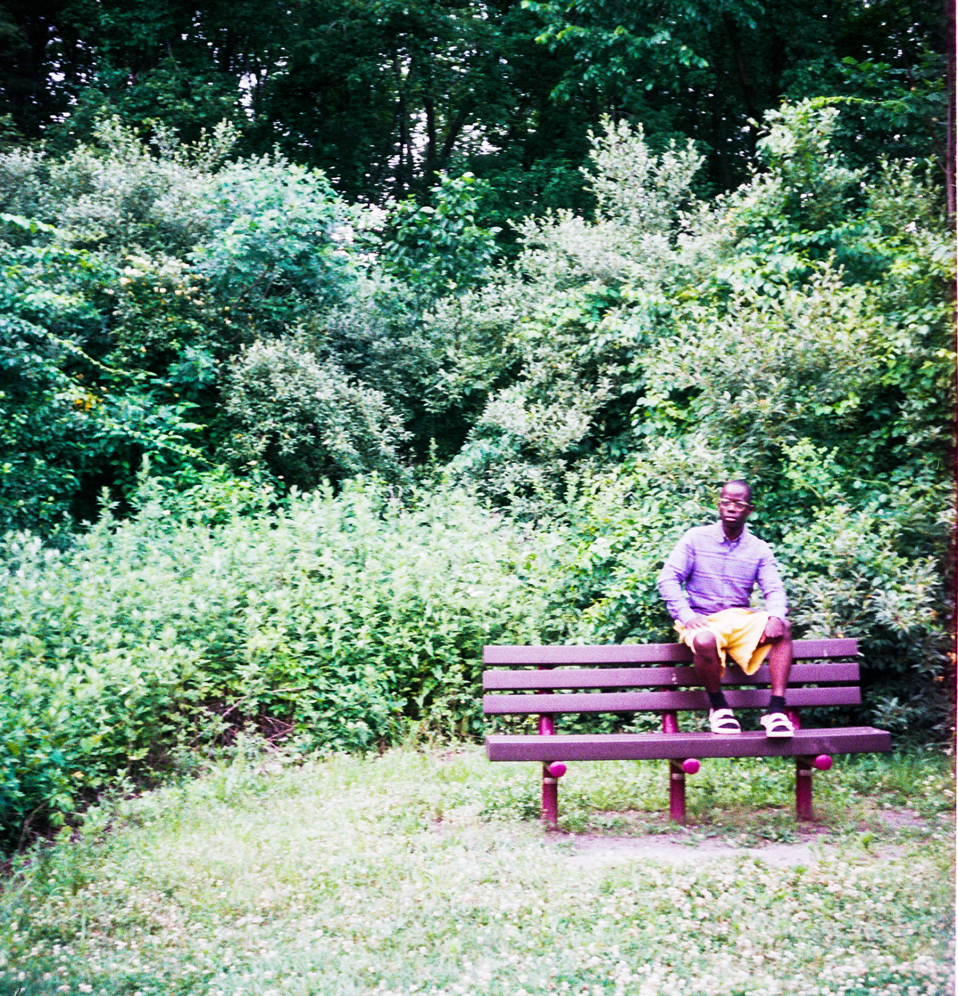 Autosave-File vom d-lab2/3 der AgfaPhoto GmbH