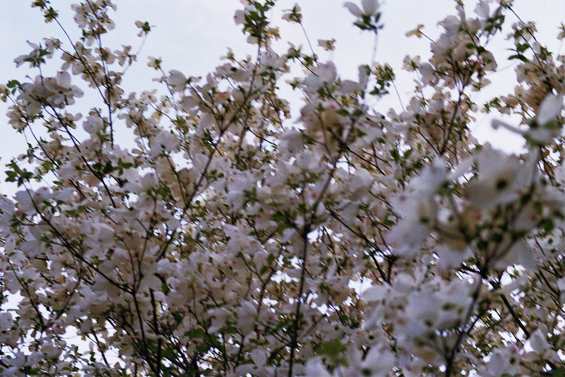 Autosave-File vom d-lab2/3 der AgfaPhoto GmbH