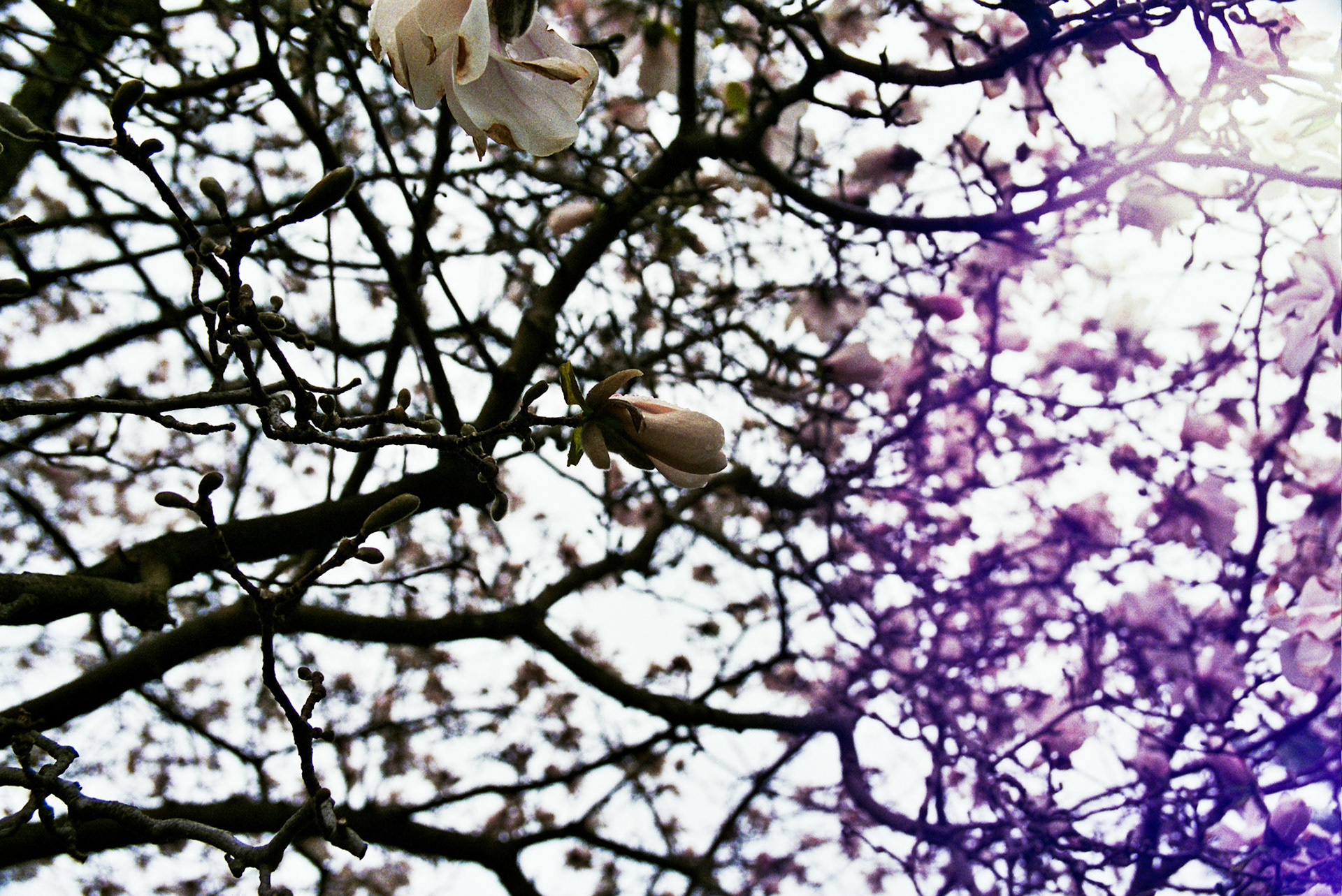 Autosave-File vom d-lab2/3 der AgfaPhoto GmbH