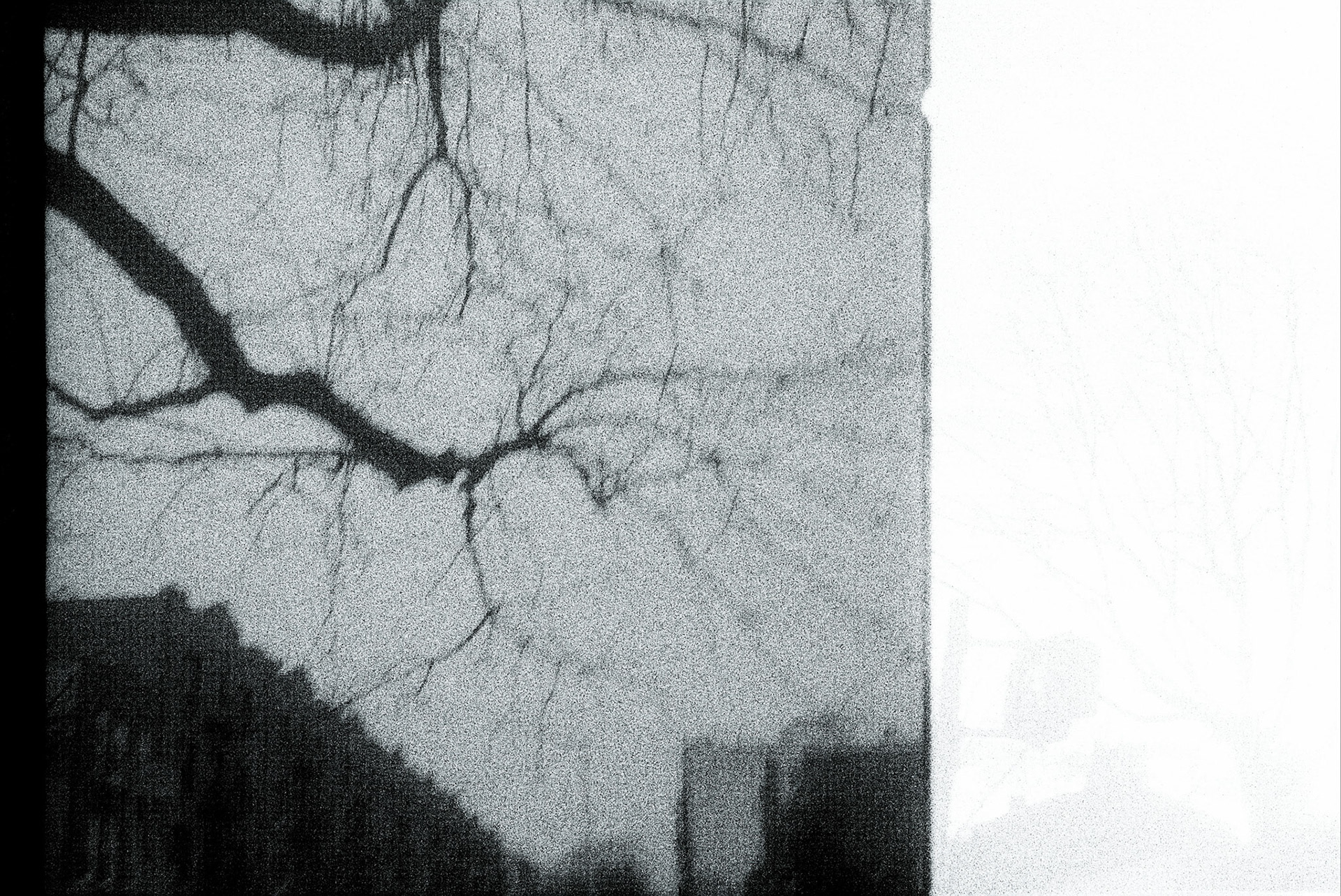 Autosave-File vom d-lab2/3 der AgfaPhoto GmbH