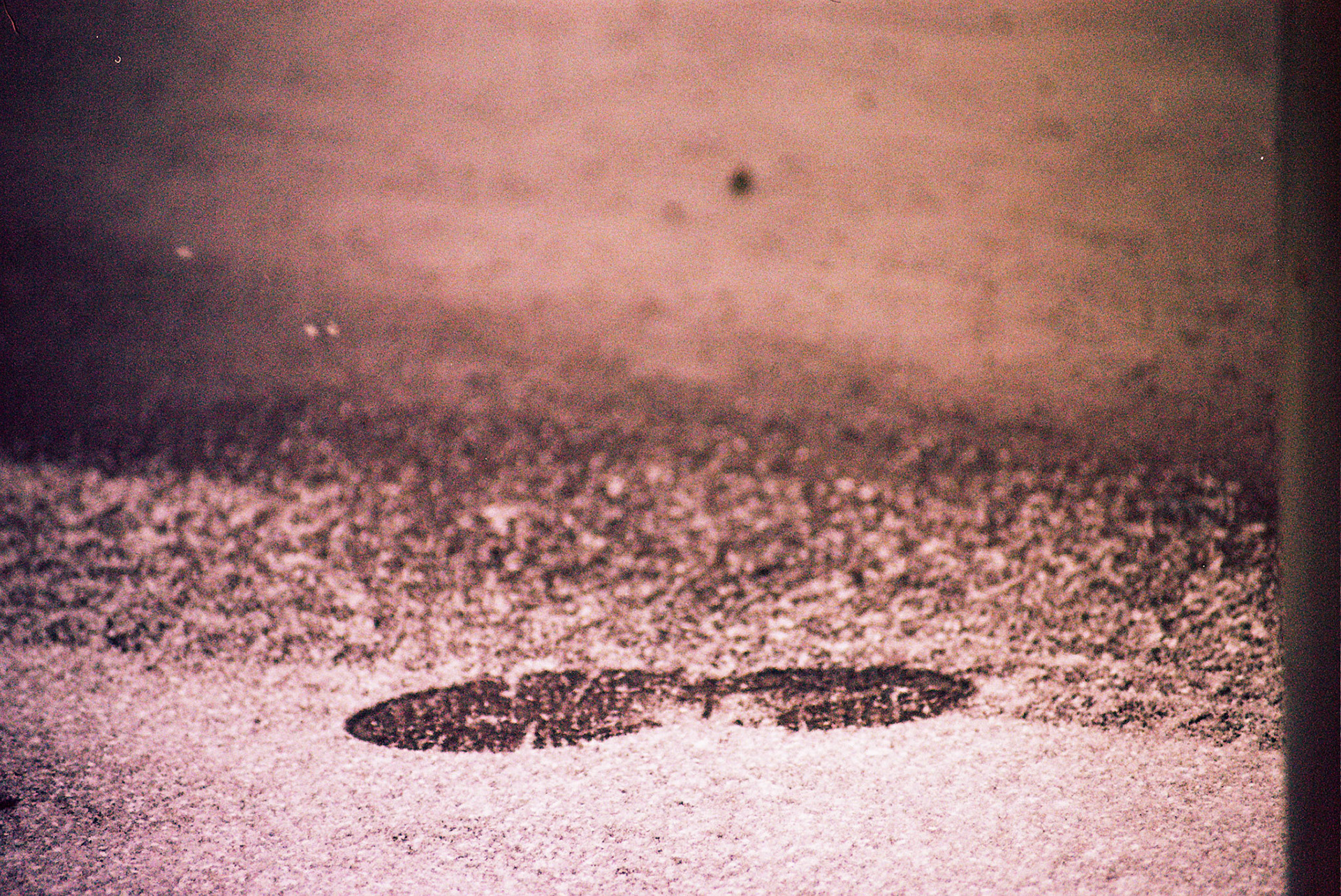 Autosave-File vom d-lab2/3 der AgfaPhoto GmbH