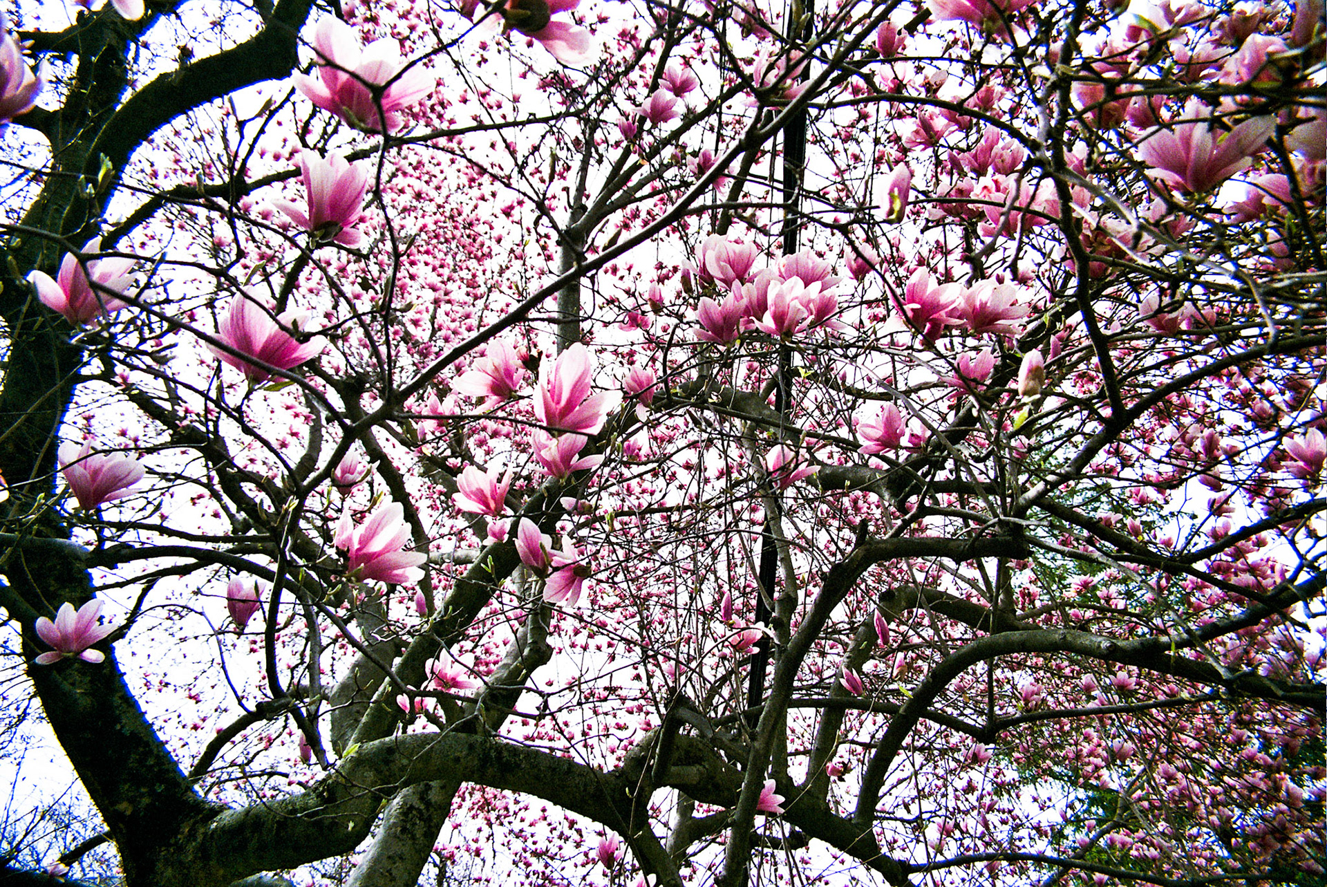 Autosave-File vom d-lab2/3 der AgfaPhoto GmbH