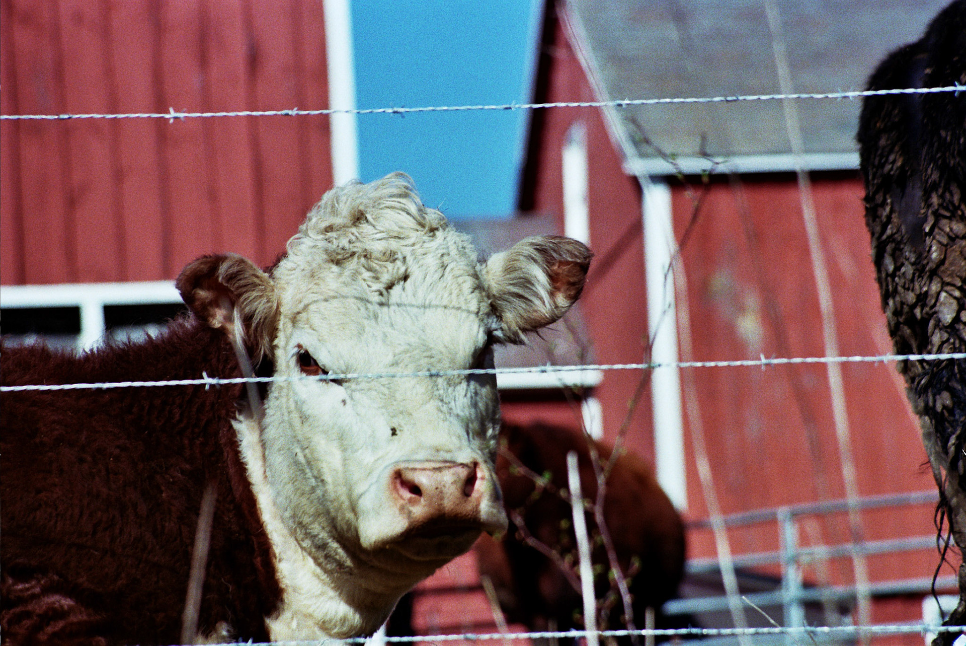 Autosave-File vom d-lab2/3 der AgfaPhoto GmbH