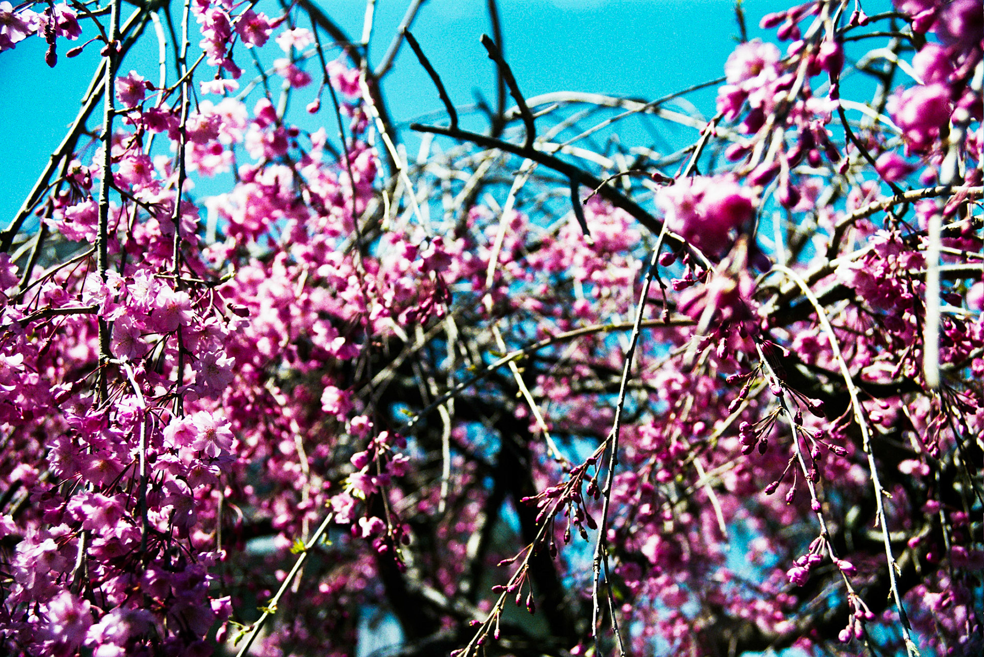 Autosave-File vom d-lab2/3 der AgfaPhoto GmbH