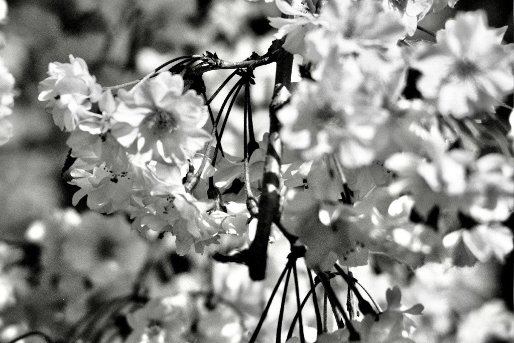 Autosave-File vom d-lab2/3 der AgfaPhoto GmbH