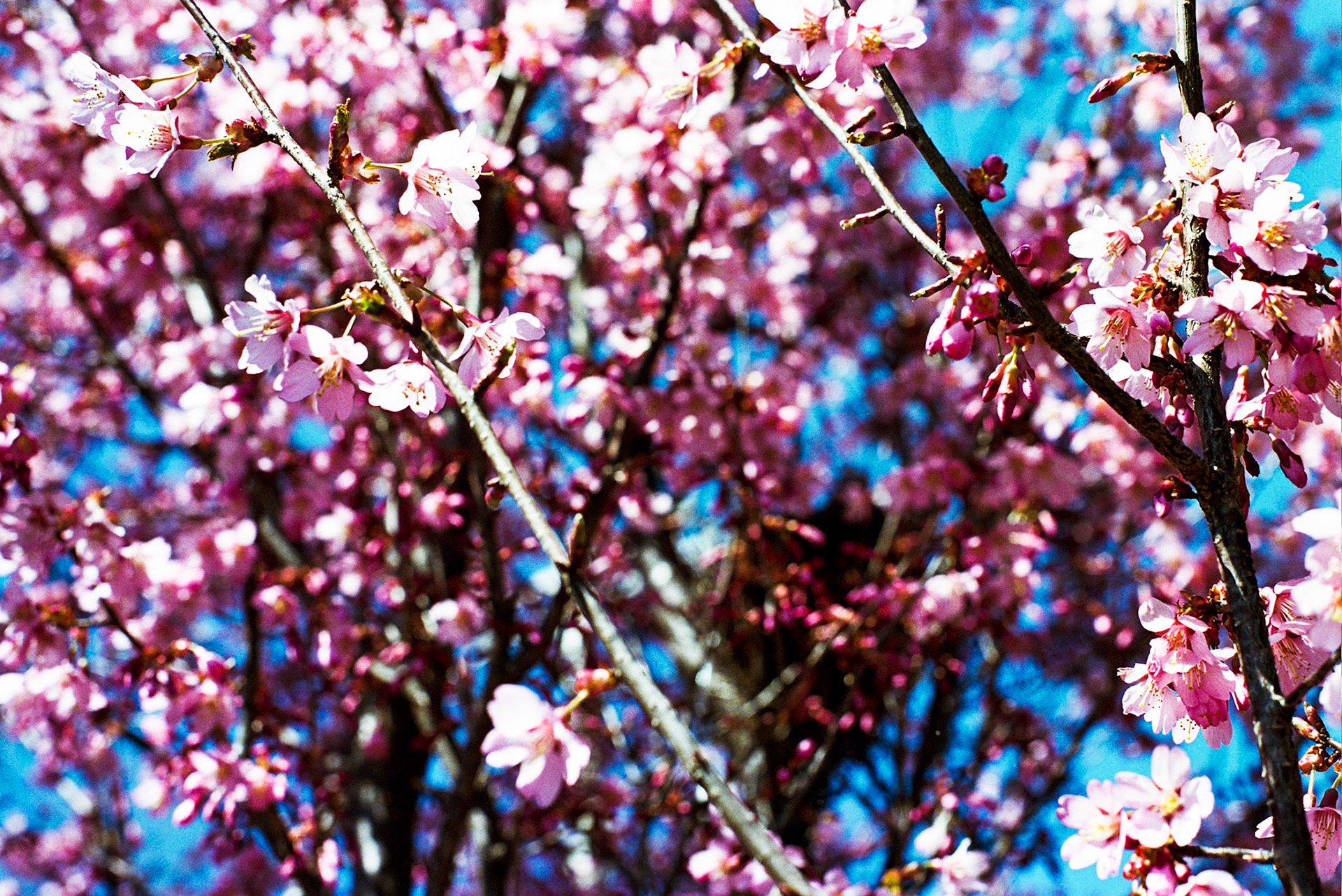 Autosave-File vom d-lab2/3 der AgfaPhoto GmbH