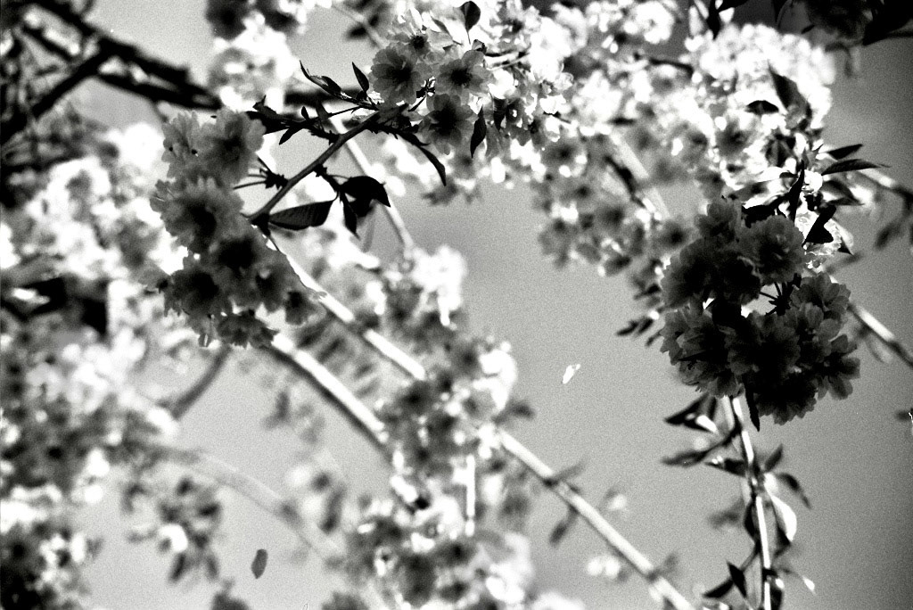 Autosave-File vom d-lab2/3 der AgfaPhoto GmbH