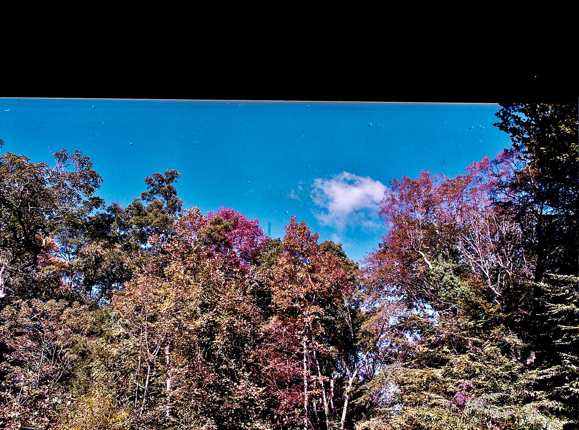 Autosave-File vom d-lab2/3 der AgfaPhoto GmbH