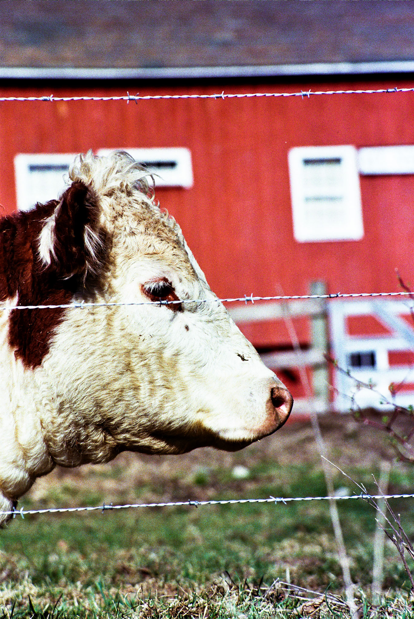 Autosave-File vom d-lab2/3 der AgfaPhoto GmbH