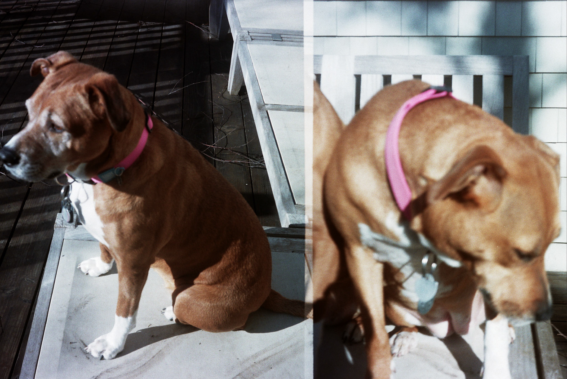 Autosave-File vom d-lab2/3 der AgfaPhoto GmbH