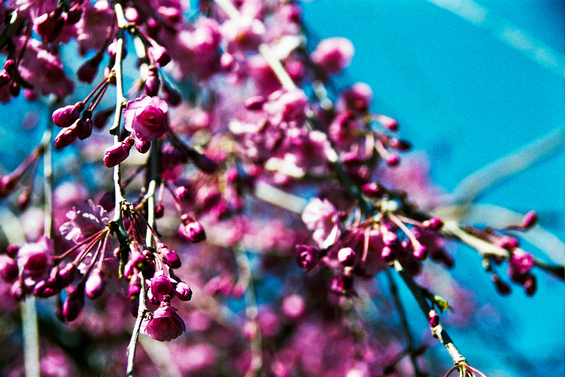 Autosave-File vom d-lab2/3 der AgfaPhoto GmbH