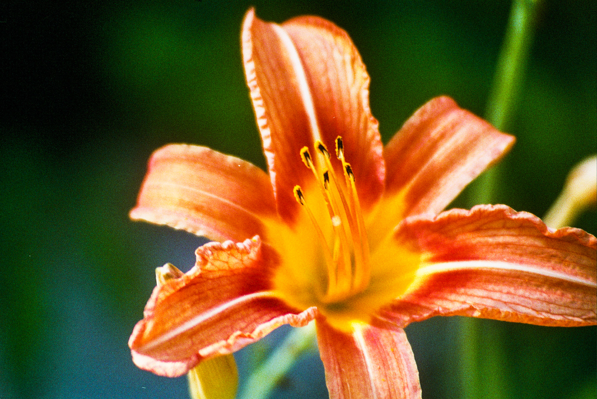 Autosave-File vom d-lab2/3 der AgfaPhoto GmbH