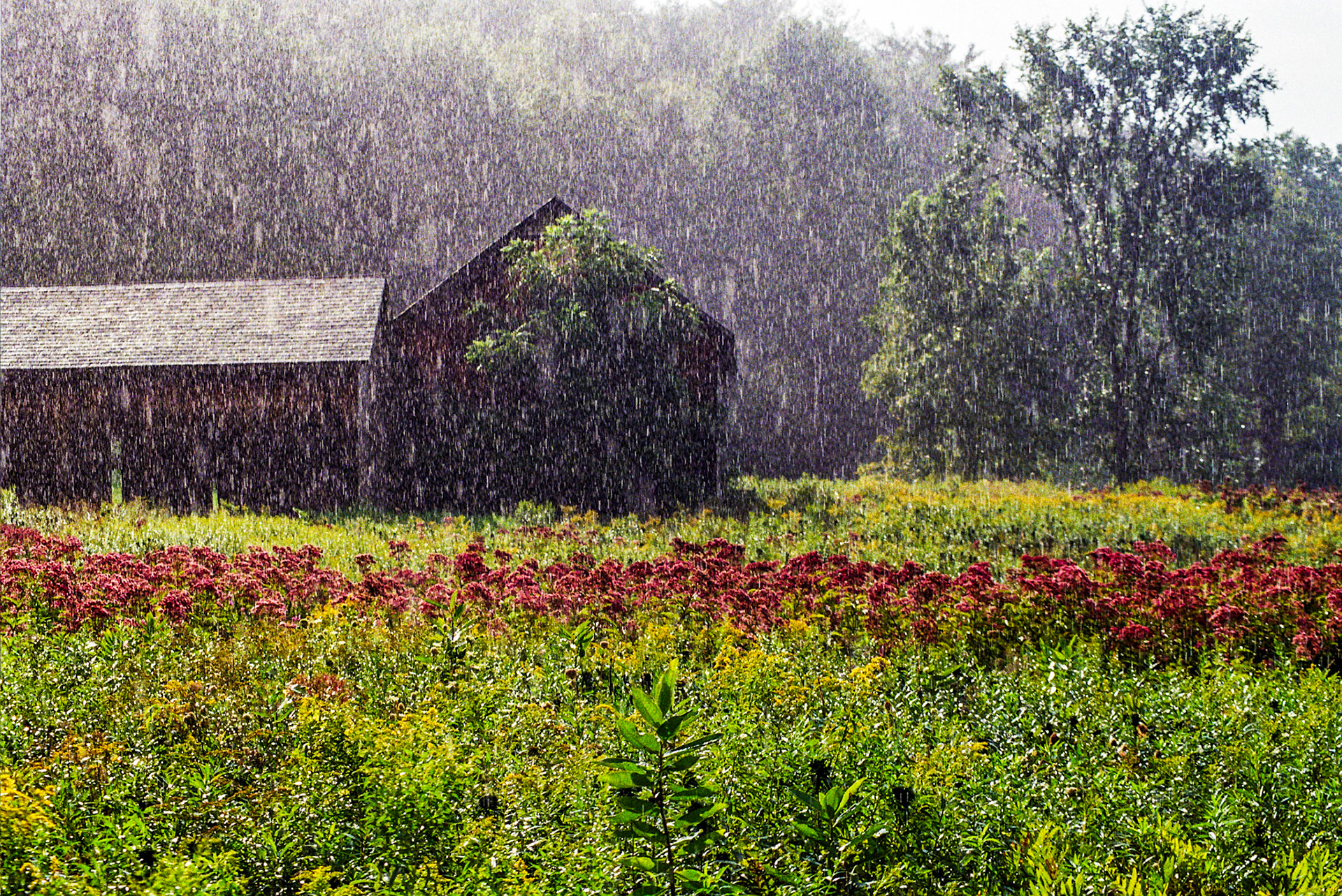 Autosave-File vom d-lab2/3 der AgfaPhoto GmbH