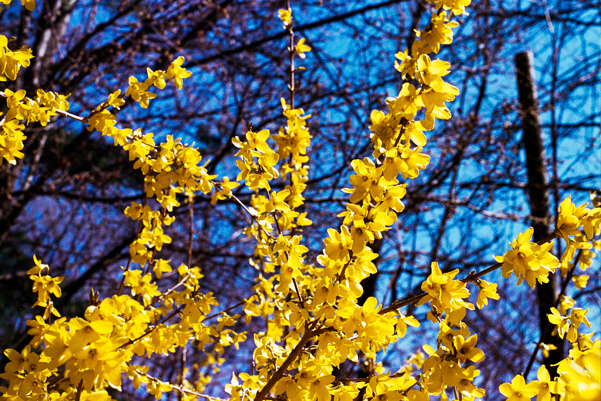 Autosave-File vom d-lab2/3 der AgfaPhoto GmbH