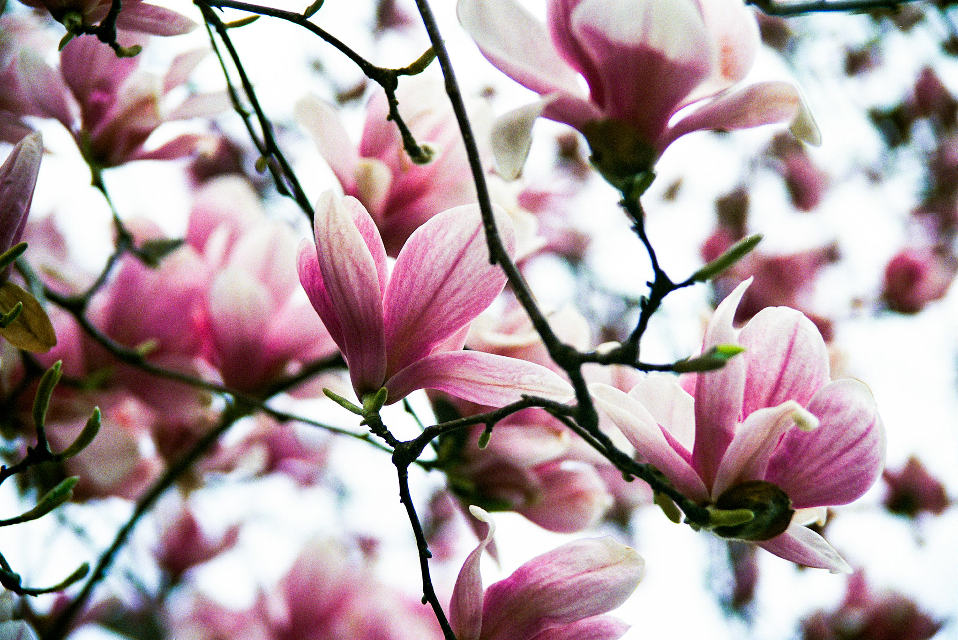 Autosave-File vom d-lab2/3 der AgfaPhoto GmbH