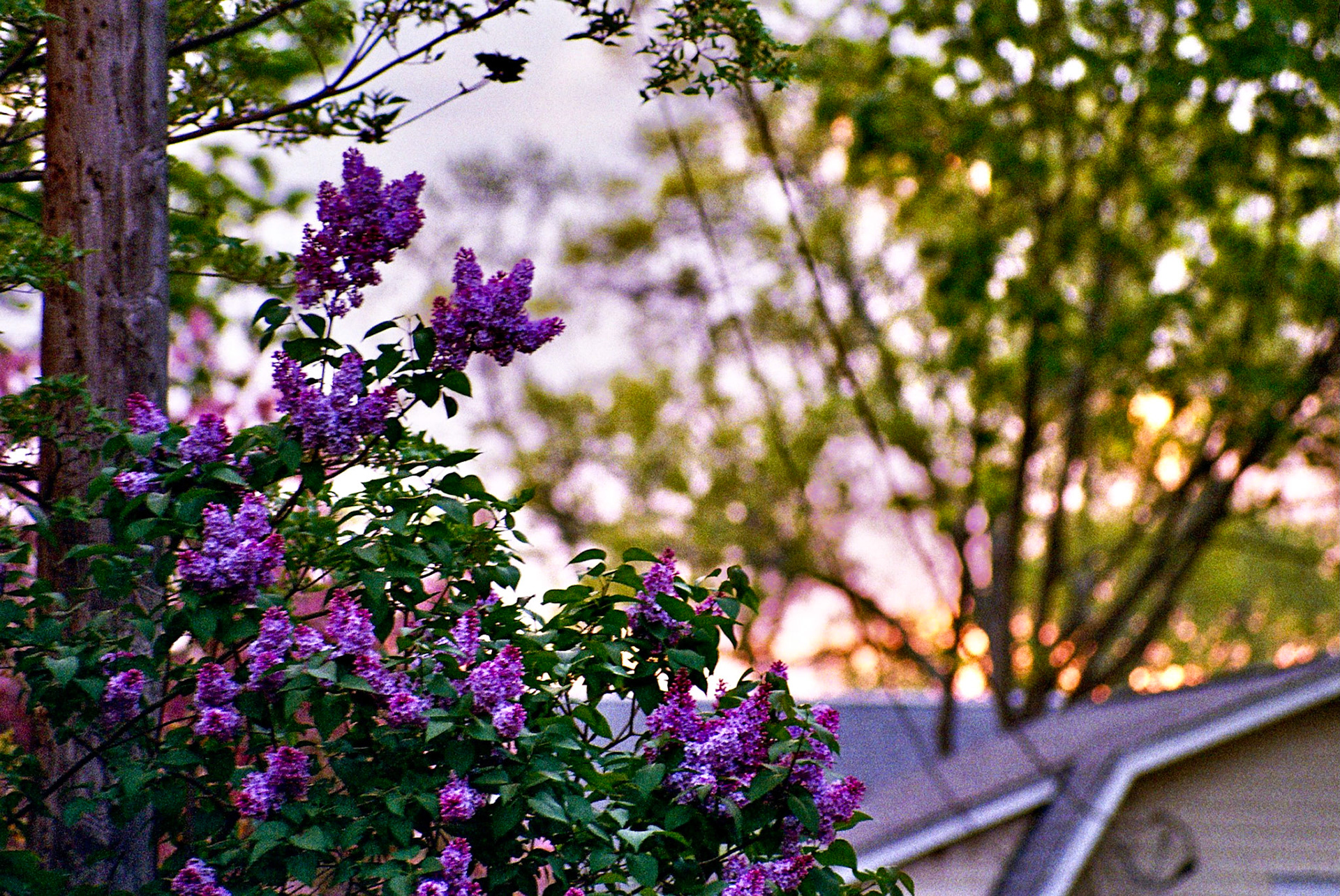 Autosave-File vom d-lab2/3 der AgfaPhoto GmbH