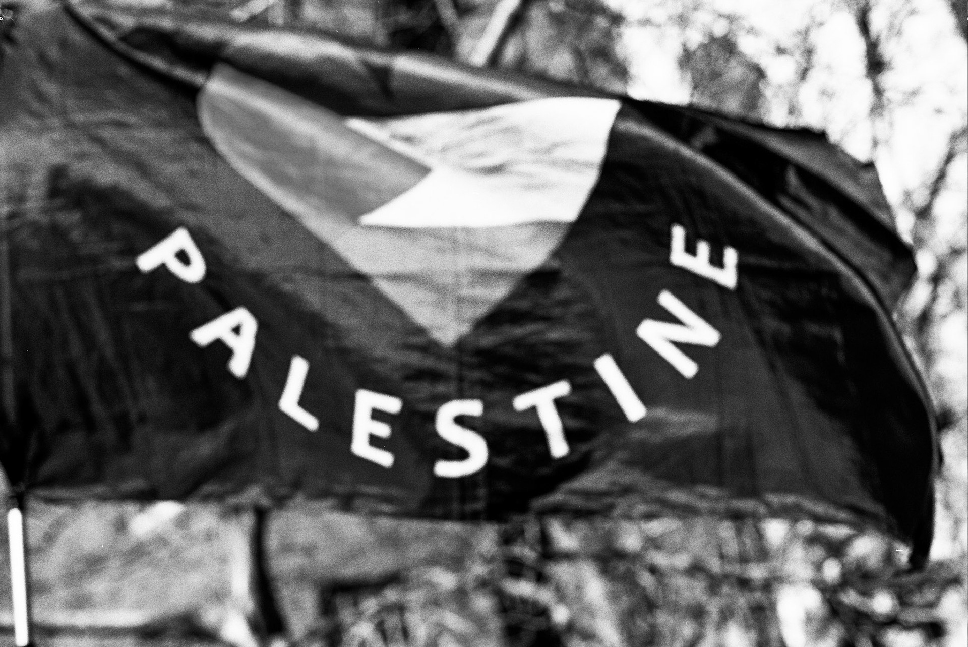 Autosave-File vom d-lab2/3 der AgfaPhoto GmbH