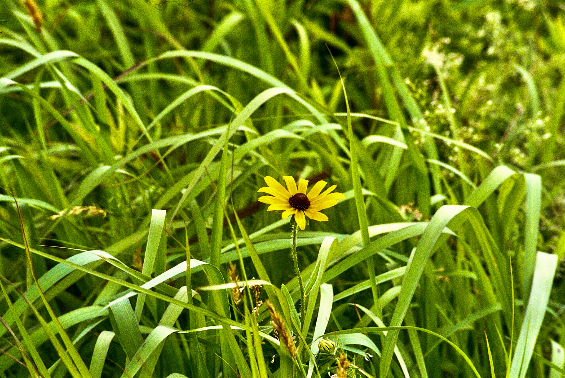 Autosave-File vom d-lab2/3 der AgfaPhoto GmbH