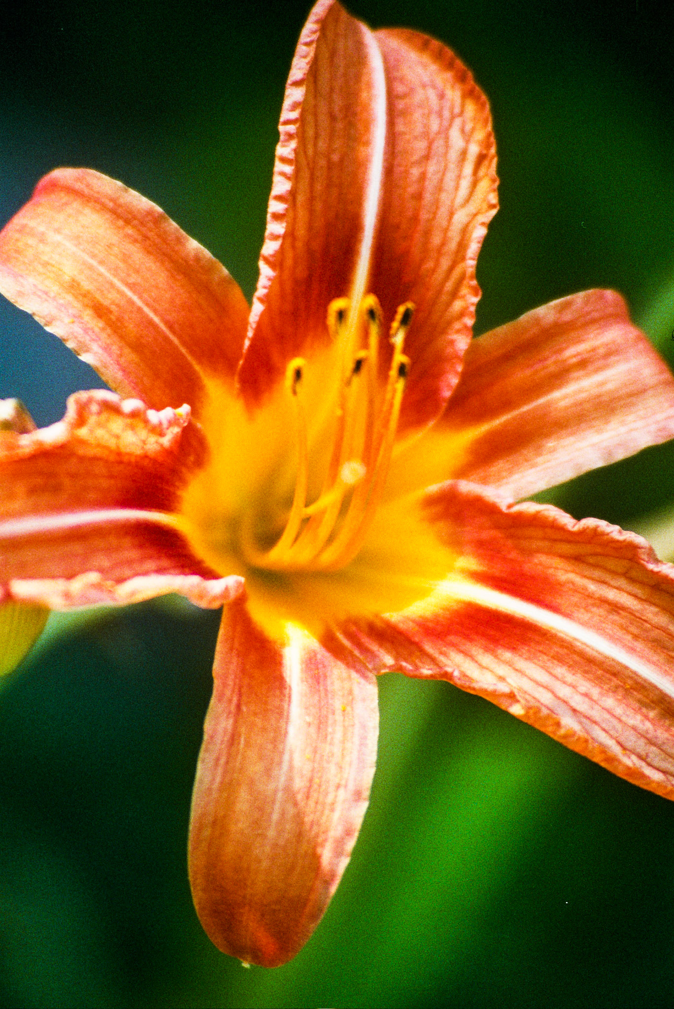 Autosave-File vom d-lab2/3 der AgfaPhoto GmbH