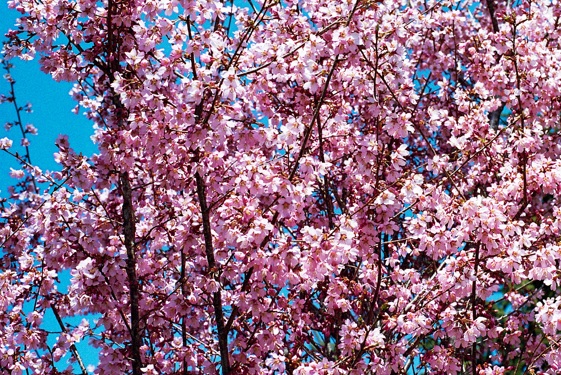 Autosave-File vom d-lab2/3 der AgfaPhoto GmbH