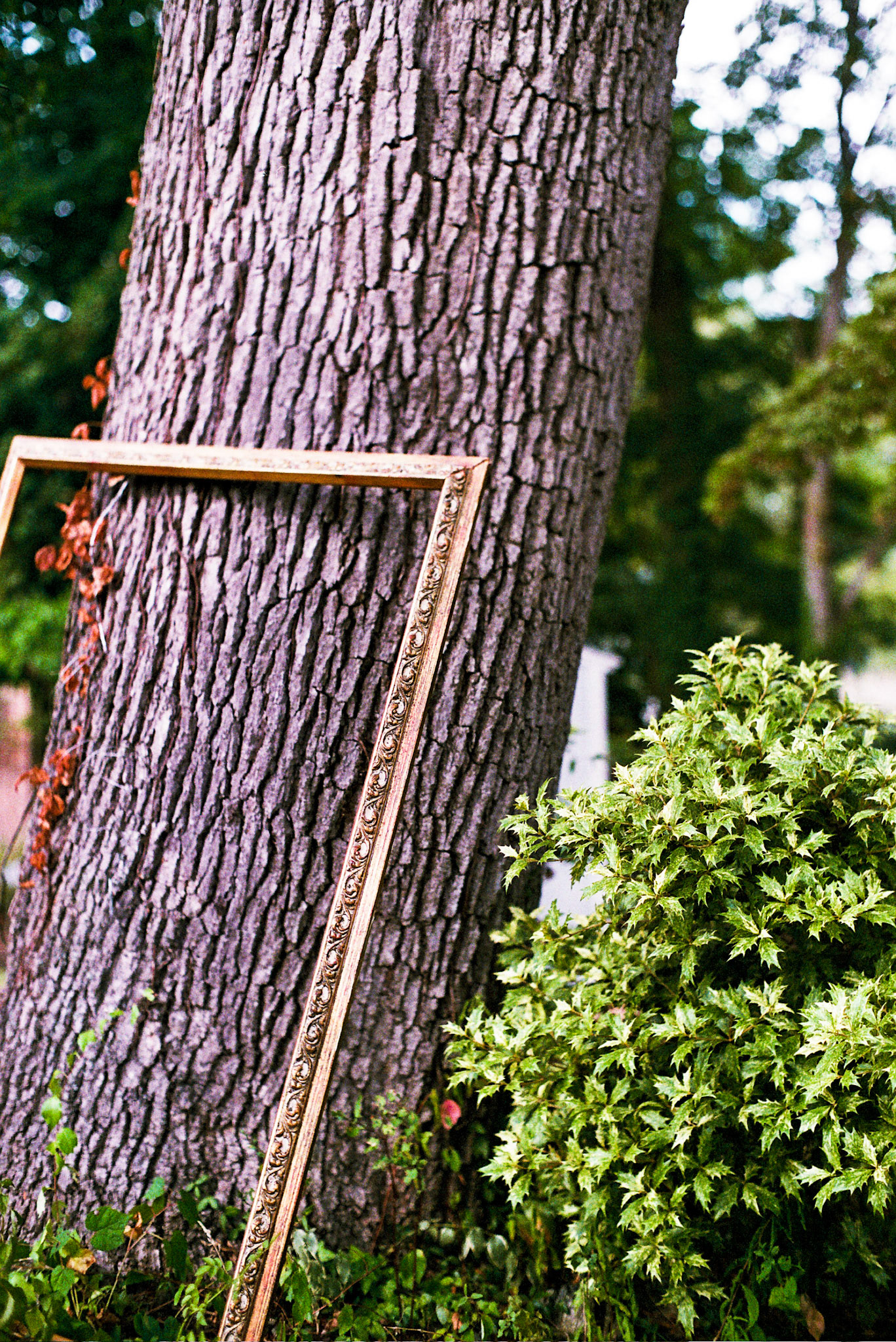 Autosave-File vom d-lab2/3 der AgfaPhoto GmbH