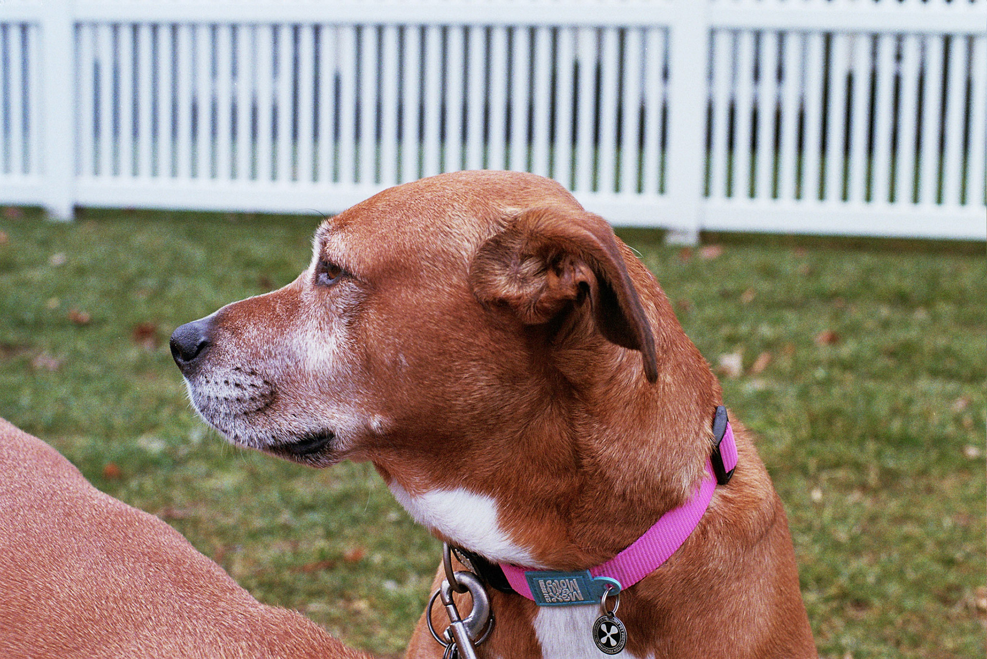 Autosave-File vom d-lab2/3 der AgfaPhoto GmbH