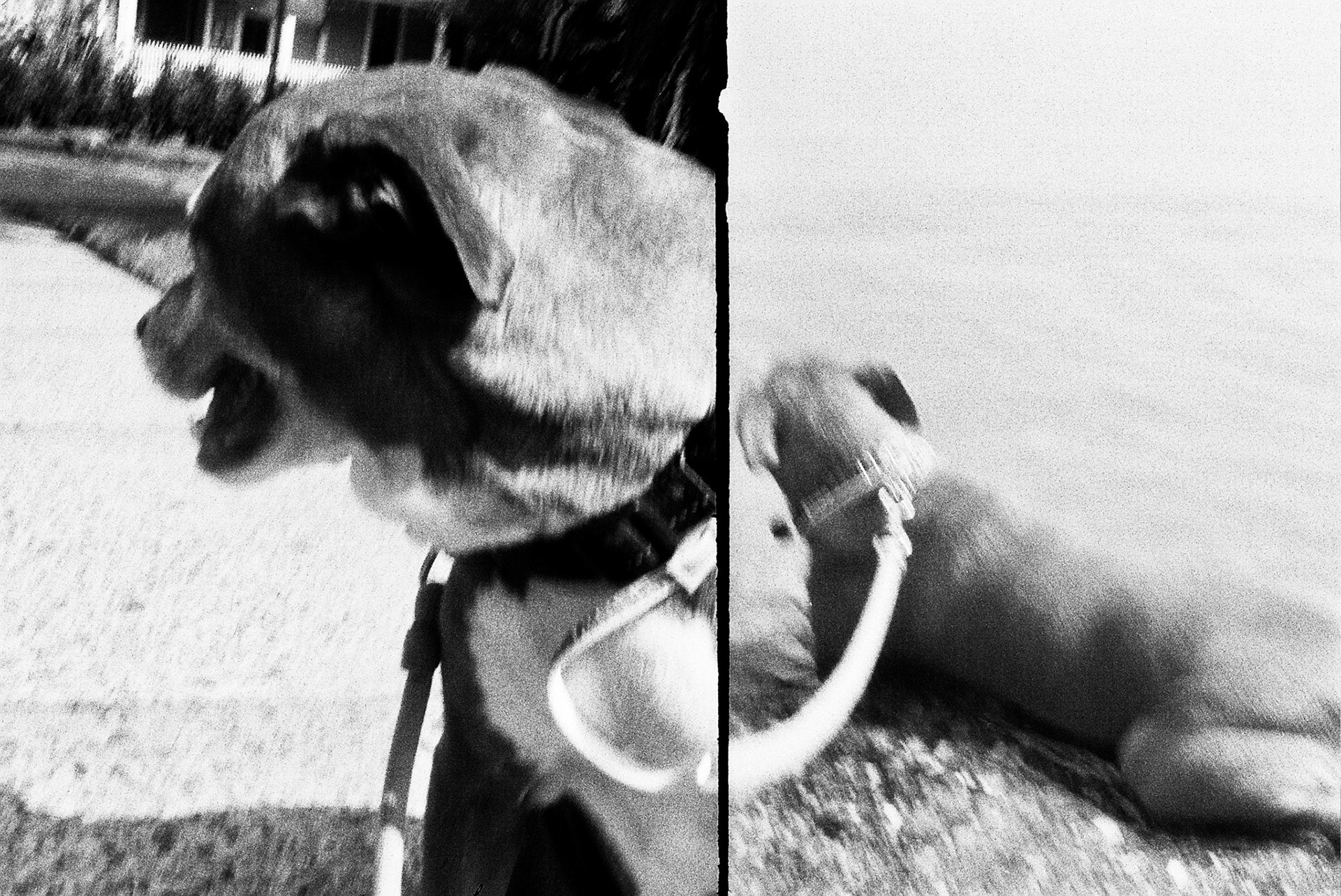 Autosave-File vom d-lab2/3 der AgfaPhoto GmbH