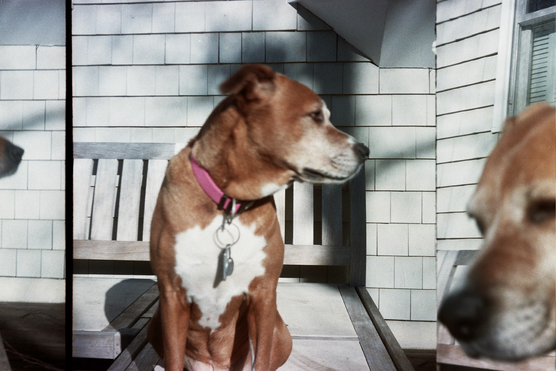 Autosave-File vom d-lab2/3 der AgfaPhoto GmbH